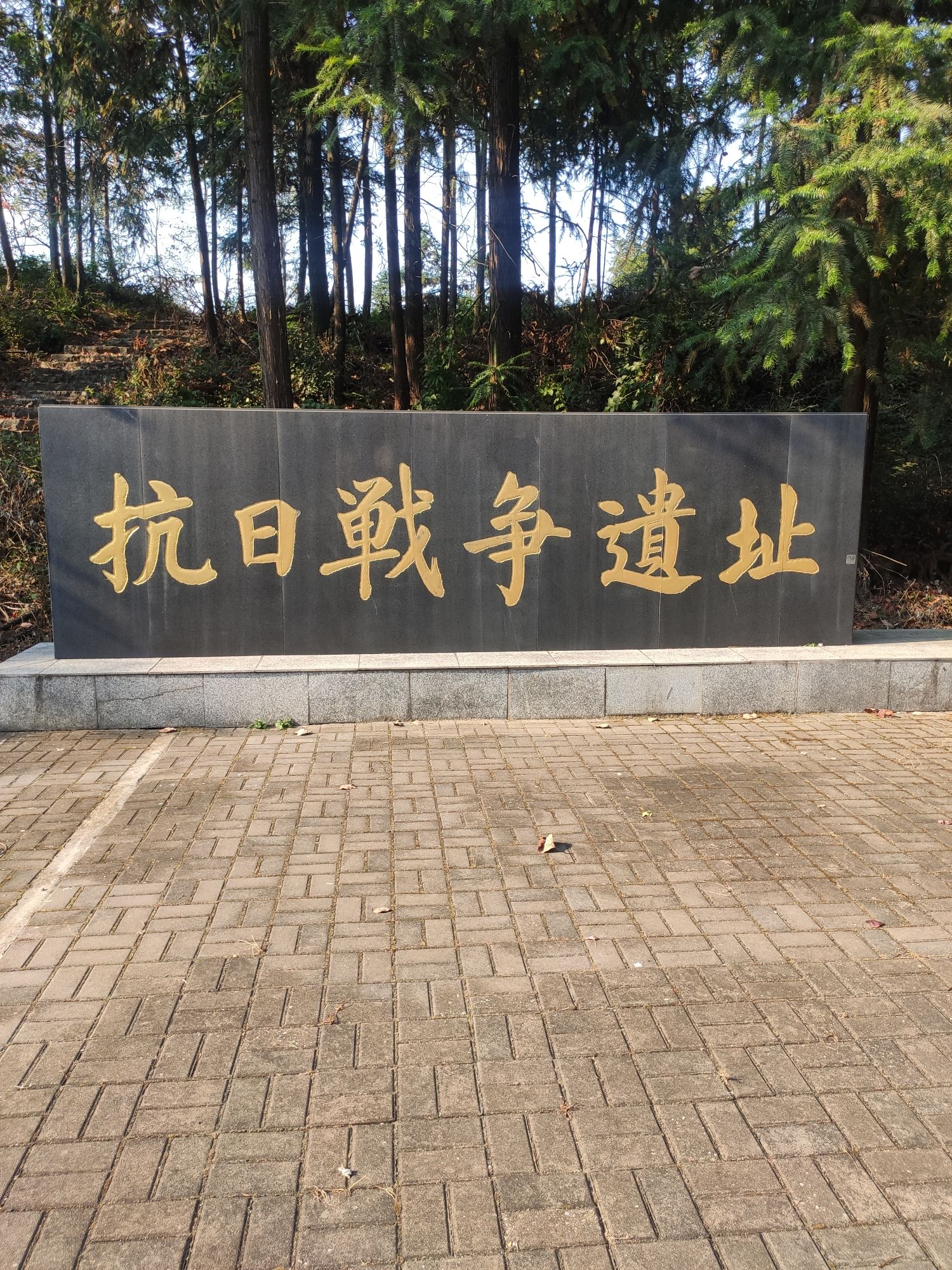临澧太浮山抗日战争遗址旅行图片 1