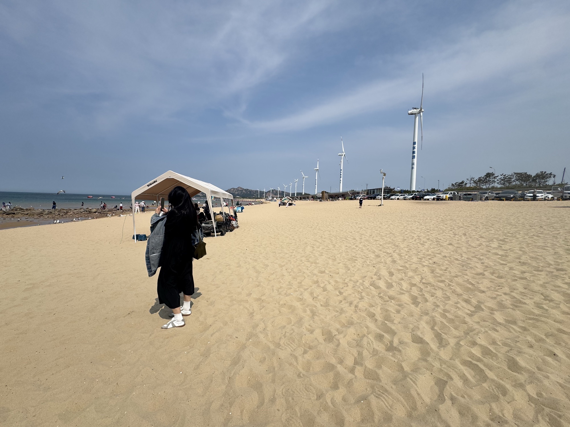 布鲁威斯号搁浅巨轮旅行图片 2