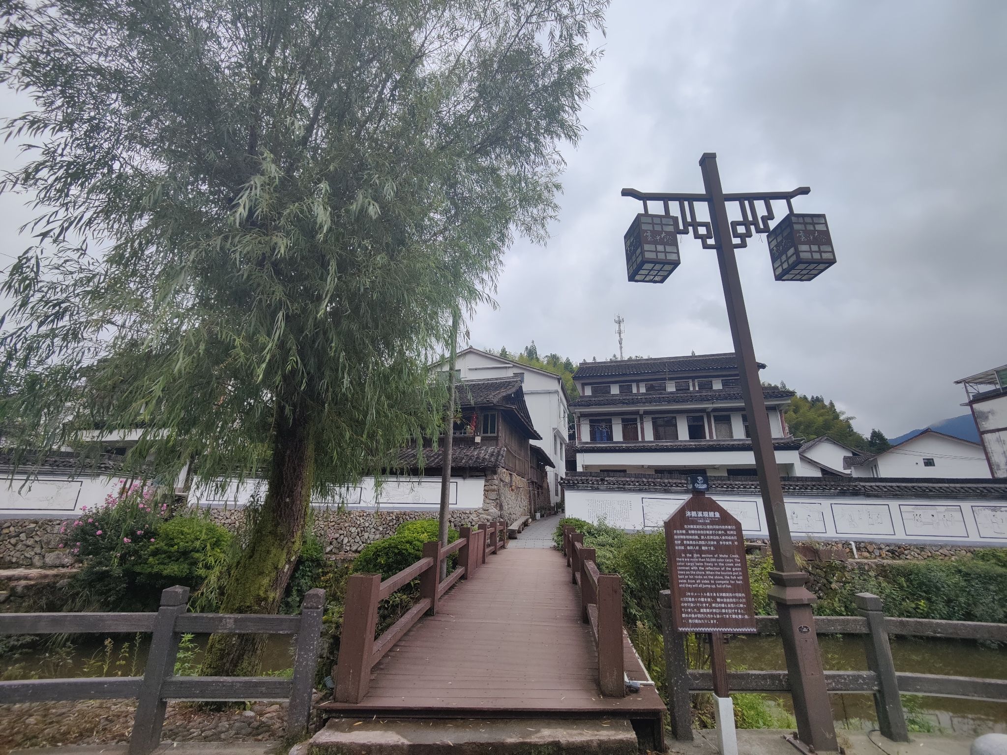 沐鹤溪观鲤鱼旅行图片 1