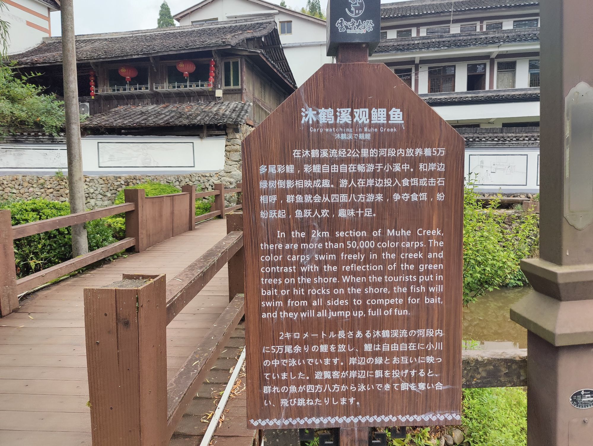 沐鹤溪观鲤鱼旅行图片 2