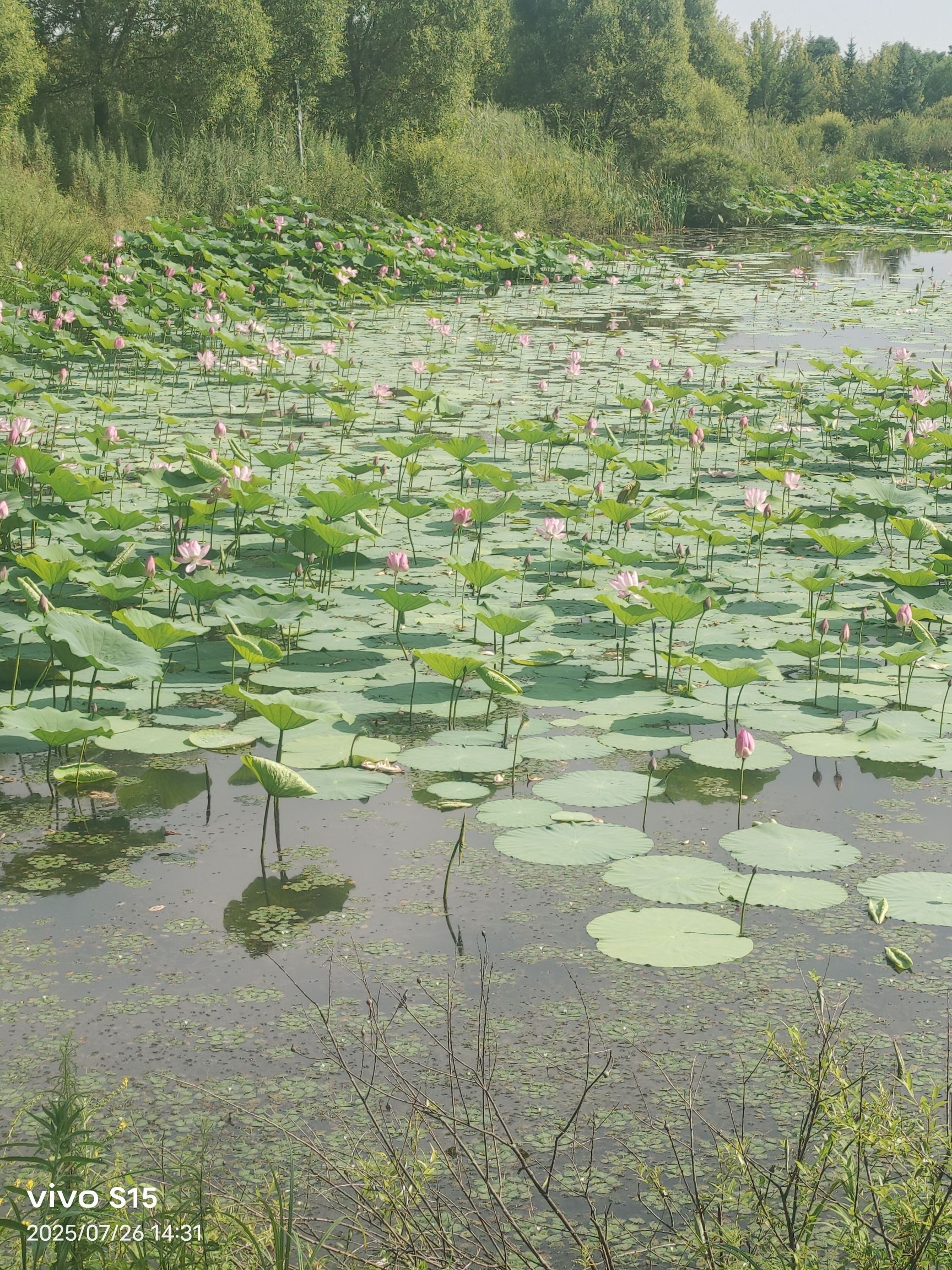 清源湖景区-瀑布