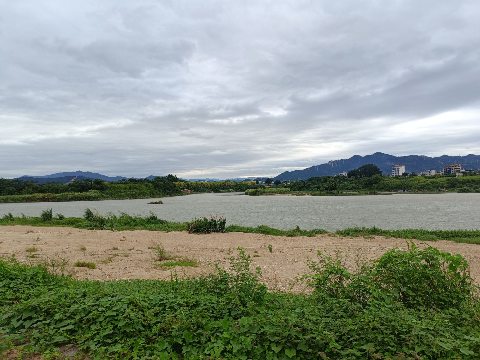 湖山村湿地公园旅行图片 1