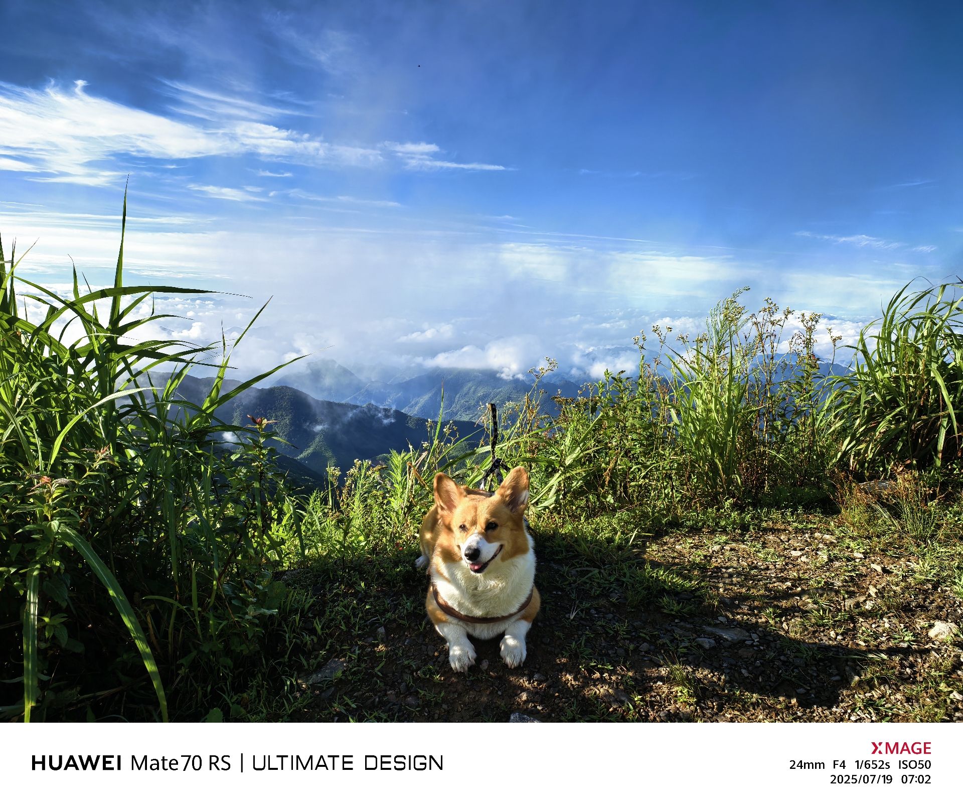 场地封面-牵牛岗-露营地