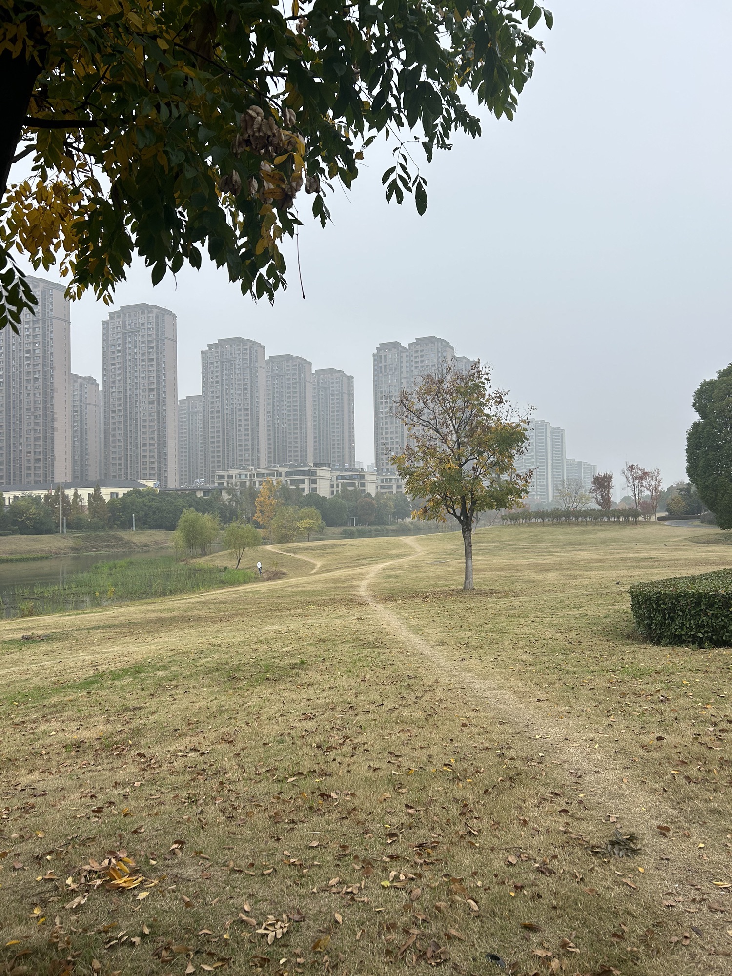 阜阳阐民市呓广场旅行图片 2