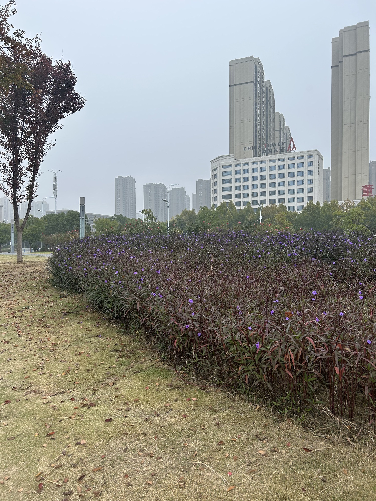 阜阳阐民市呓广场旅行图片 3