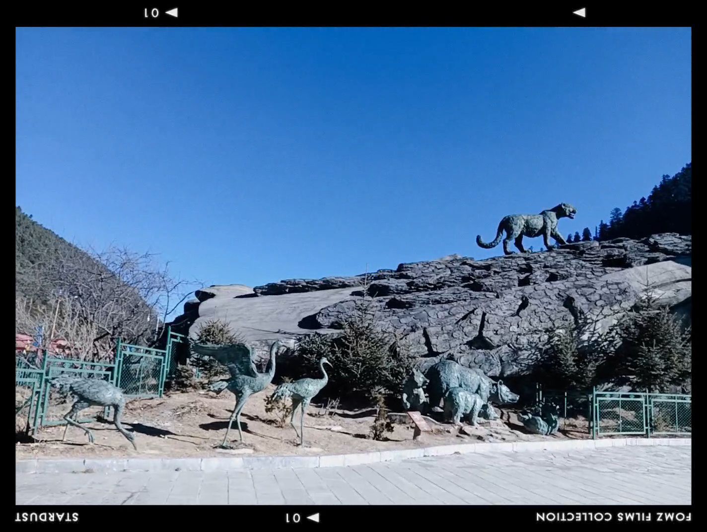 普达公园旅行图片 3