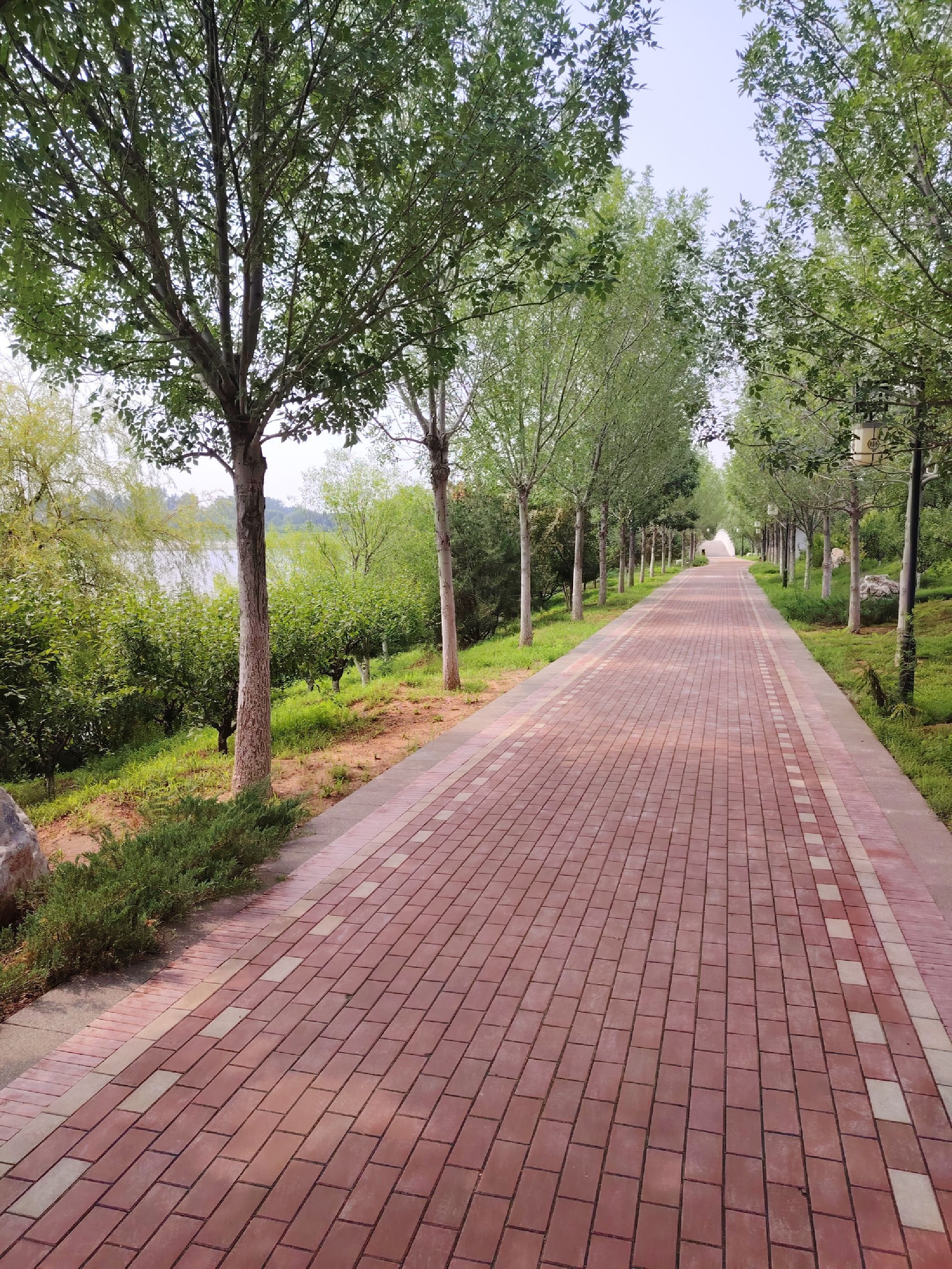 首山湖公园旅行图片 3