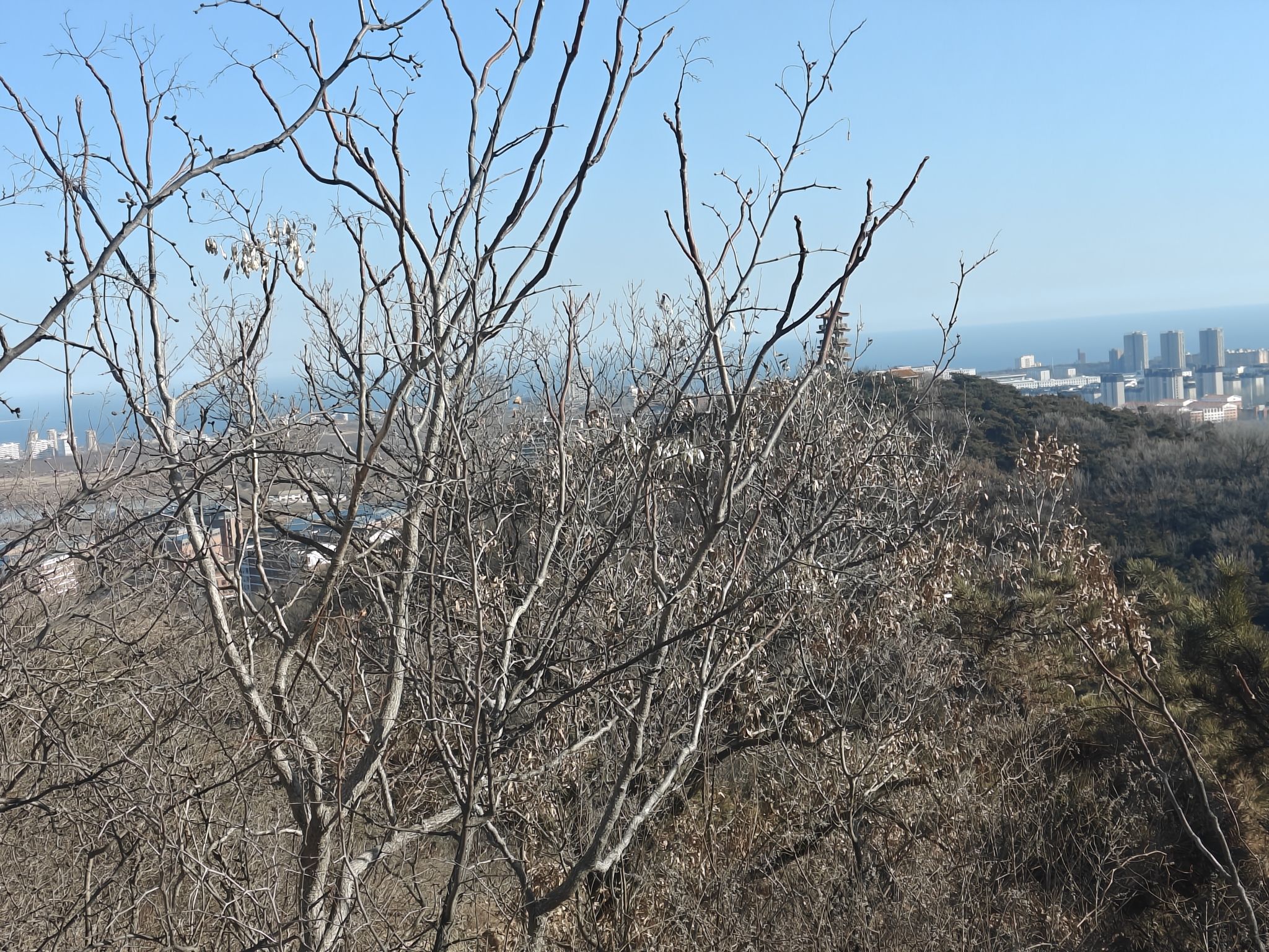 首山湖公园旅行图片 1
