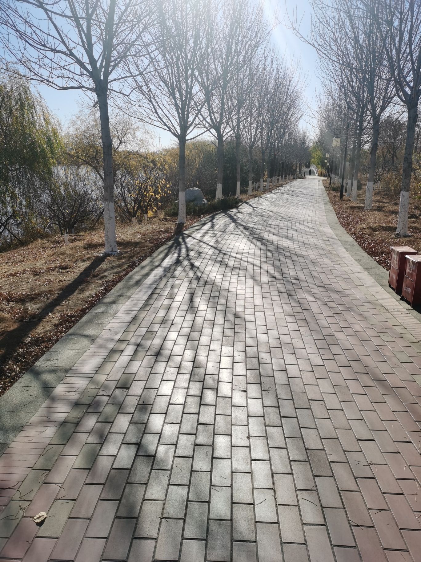 首山湖公园旅行图片 2