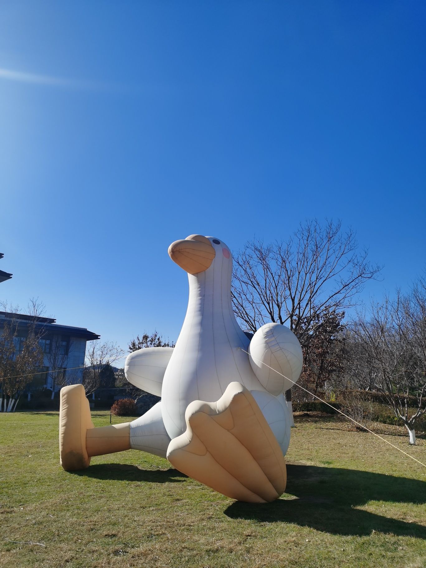 首山湖公园旅行图片 1