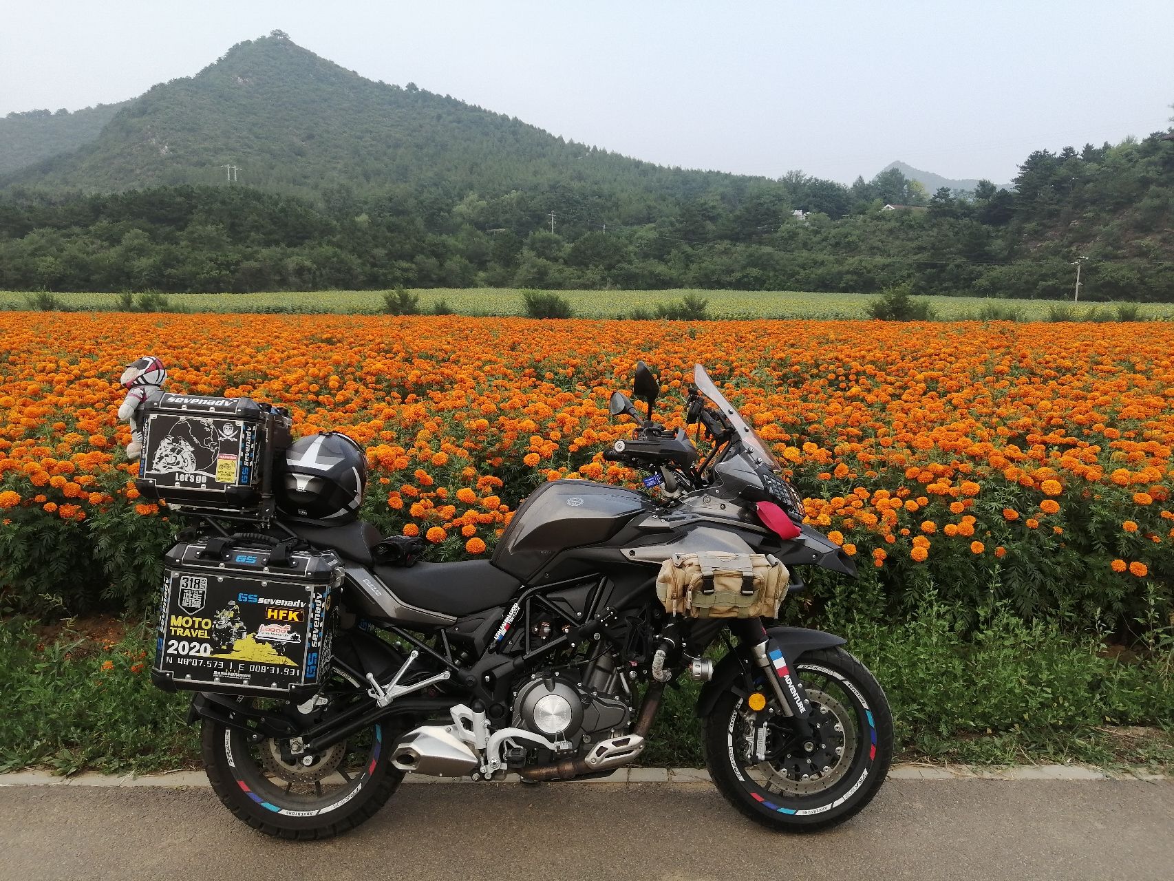 王顺沟花海旅行图片 1