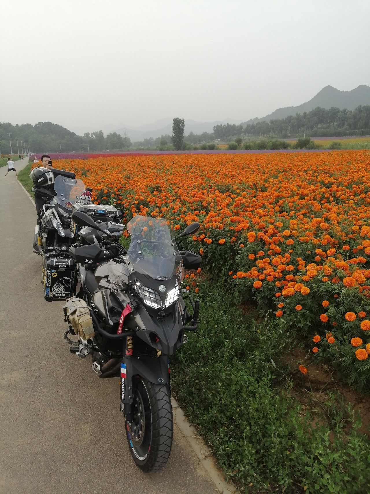 王顺沟花海旅行图片 2