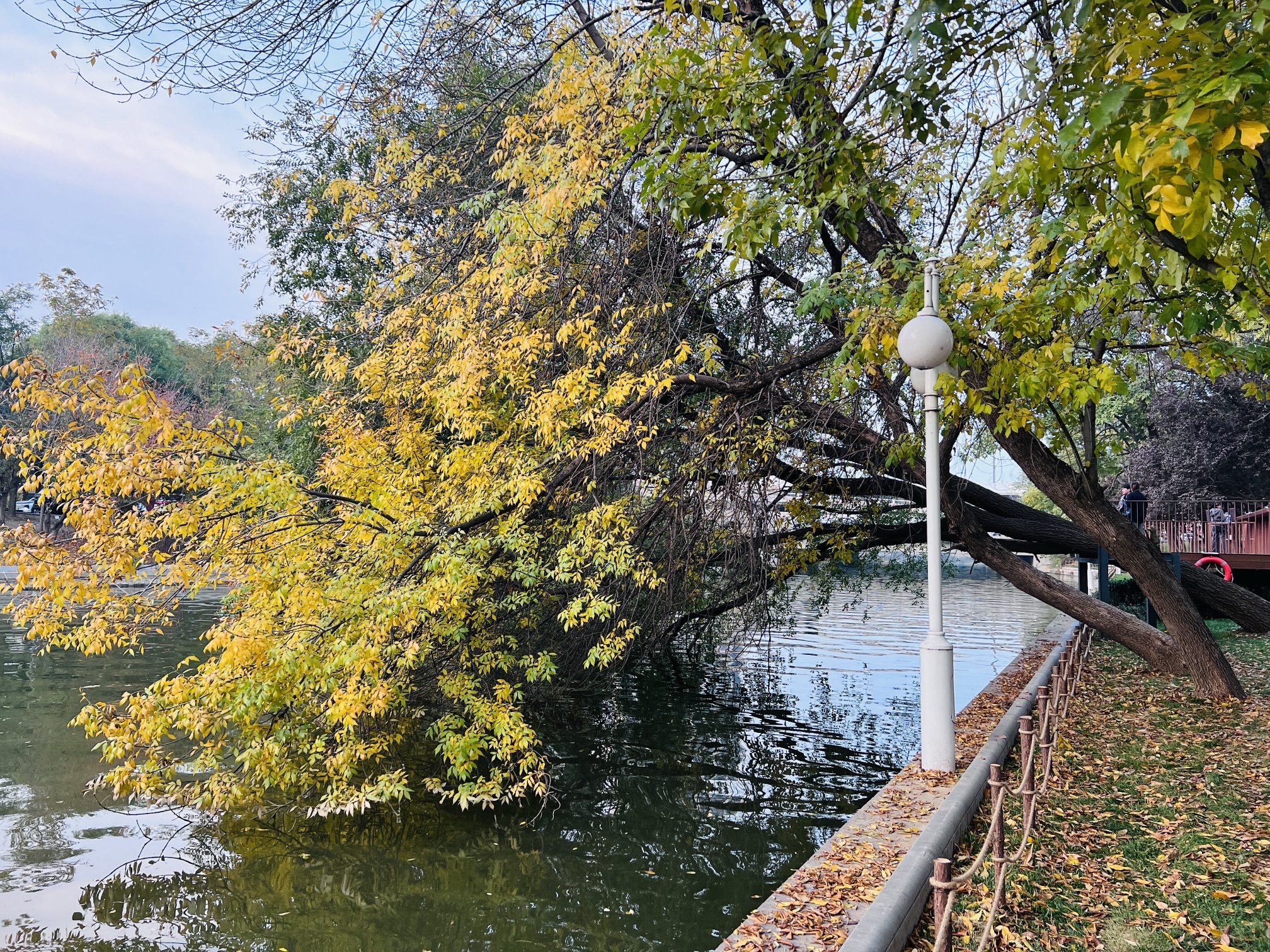 津一·Park旅行图片 2