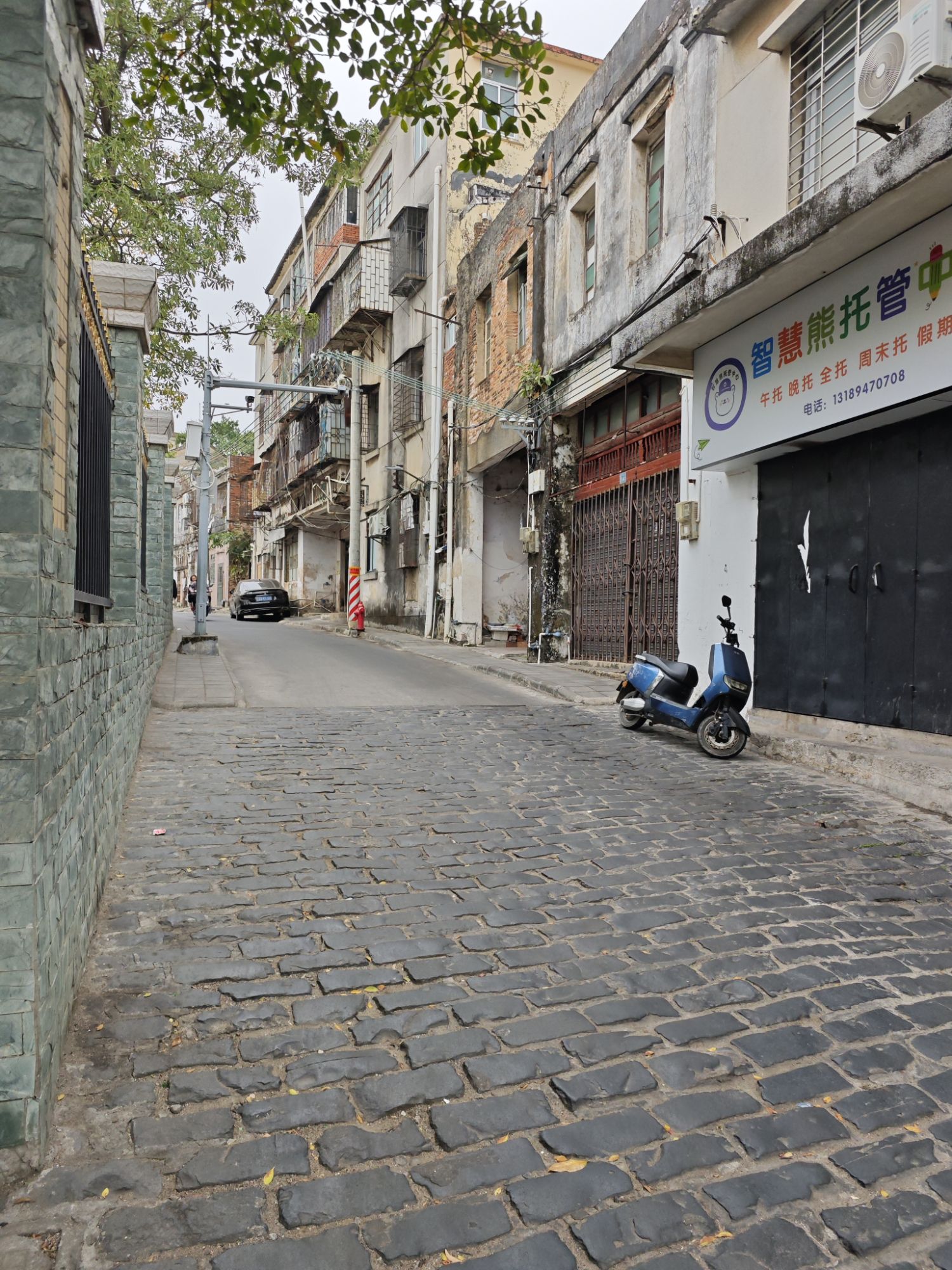 赤坎埠古码头旧址旅行图片 1