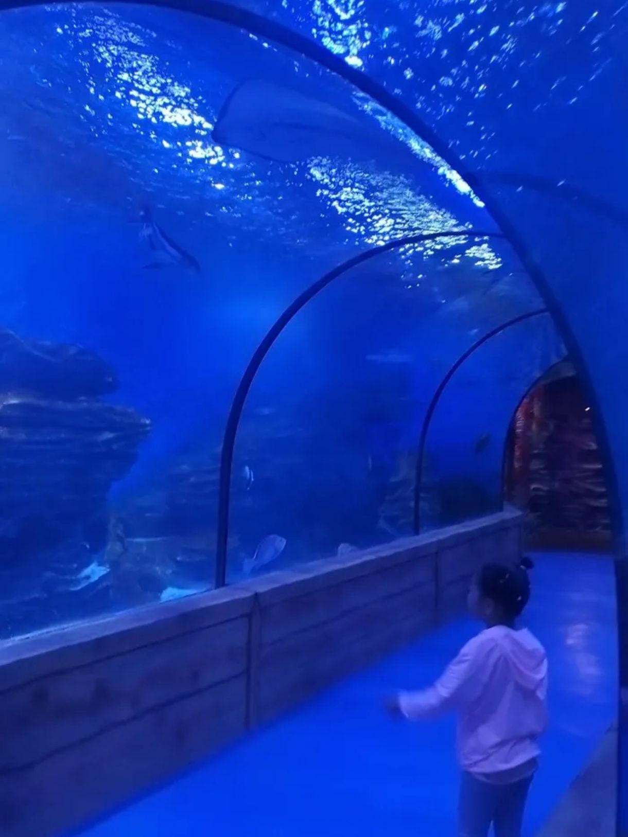 金昌海洋馆