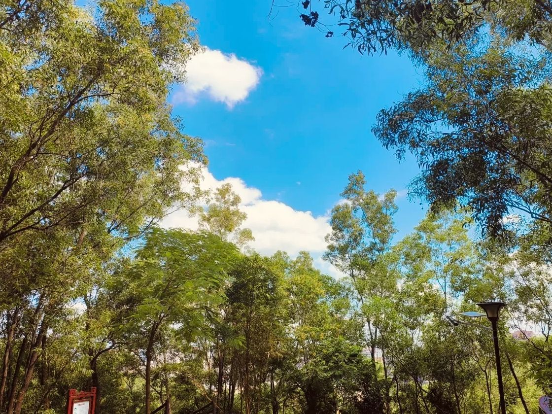 笔架山公园旅行图片 3