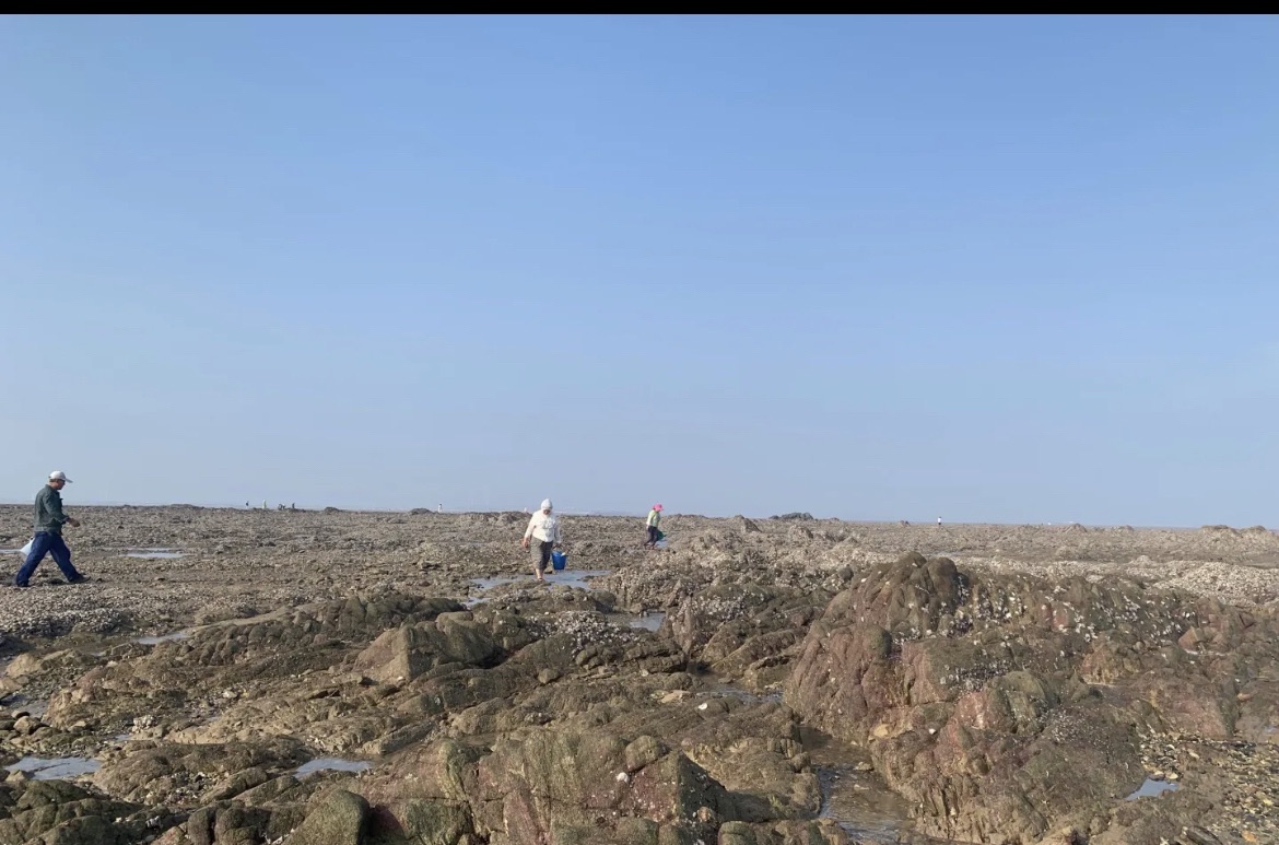 泽库镇潮汐公社赶海园旅行图片 2