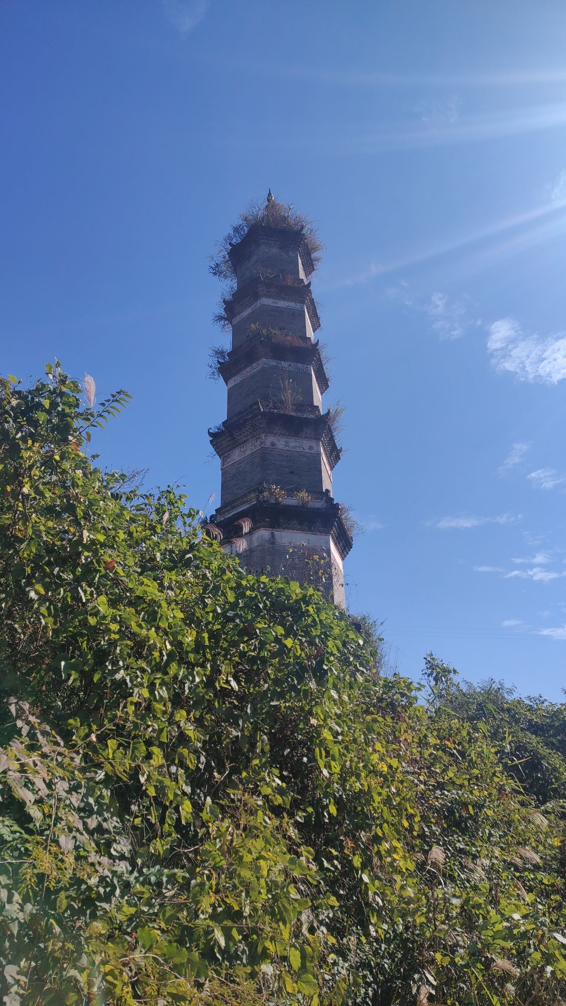 文武帝阁塔旅行图片