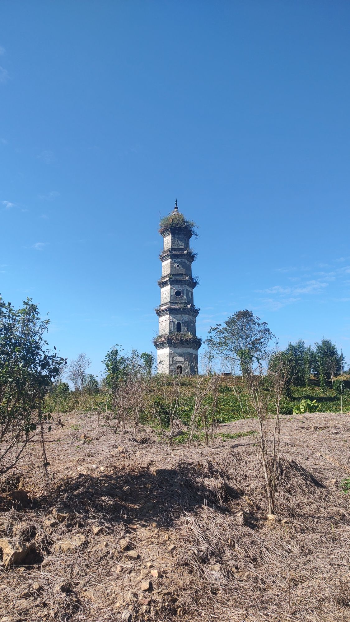 文武帝阁塔旅行图片 3