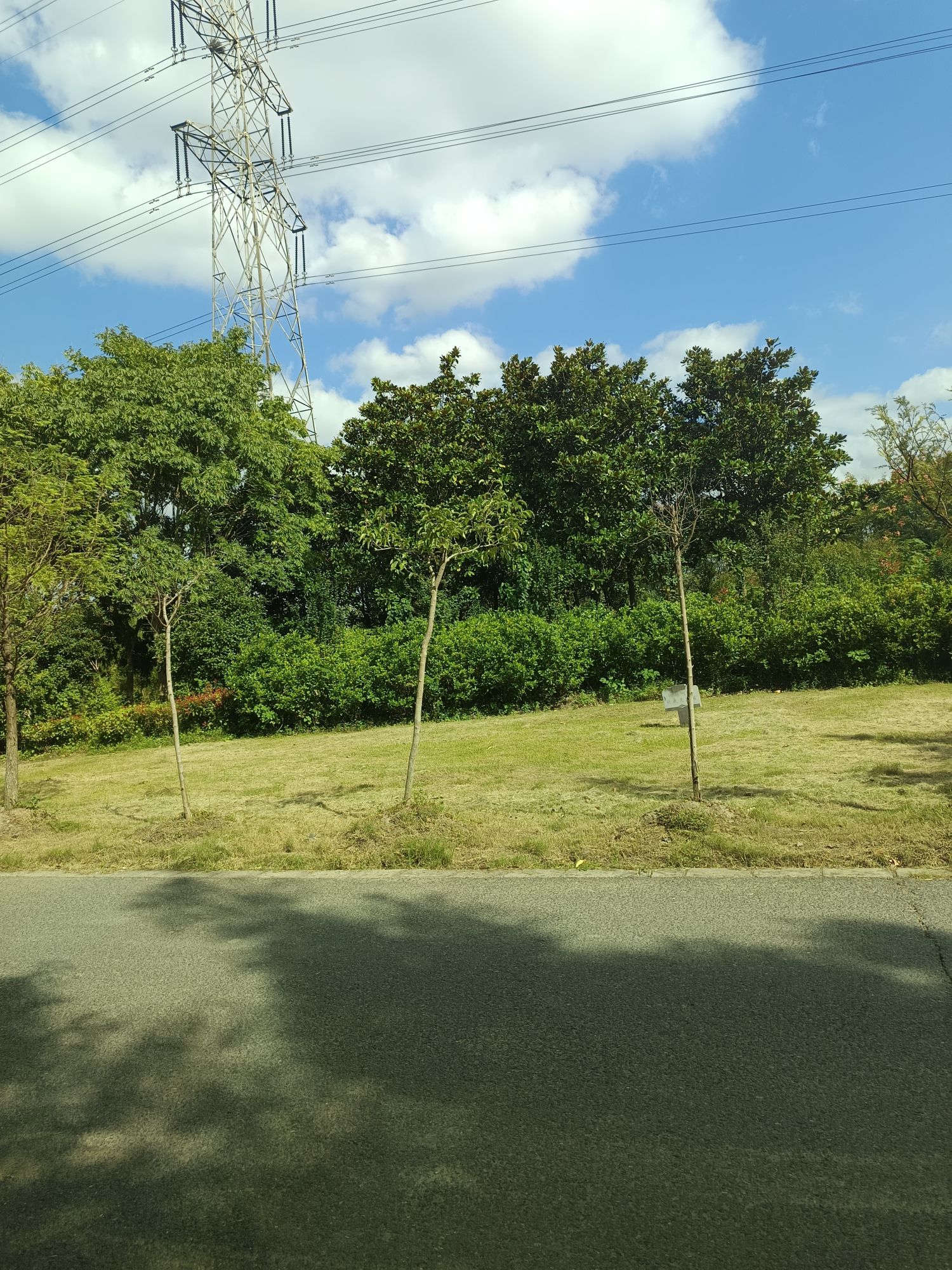 坚强郊野森林公园旅行图片 1