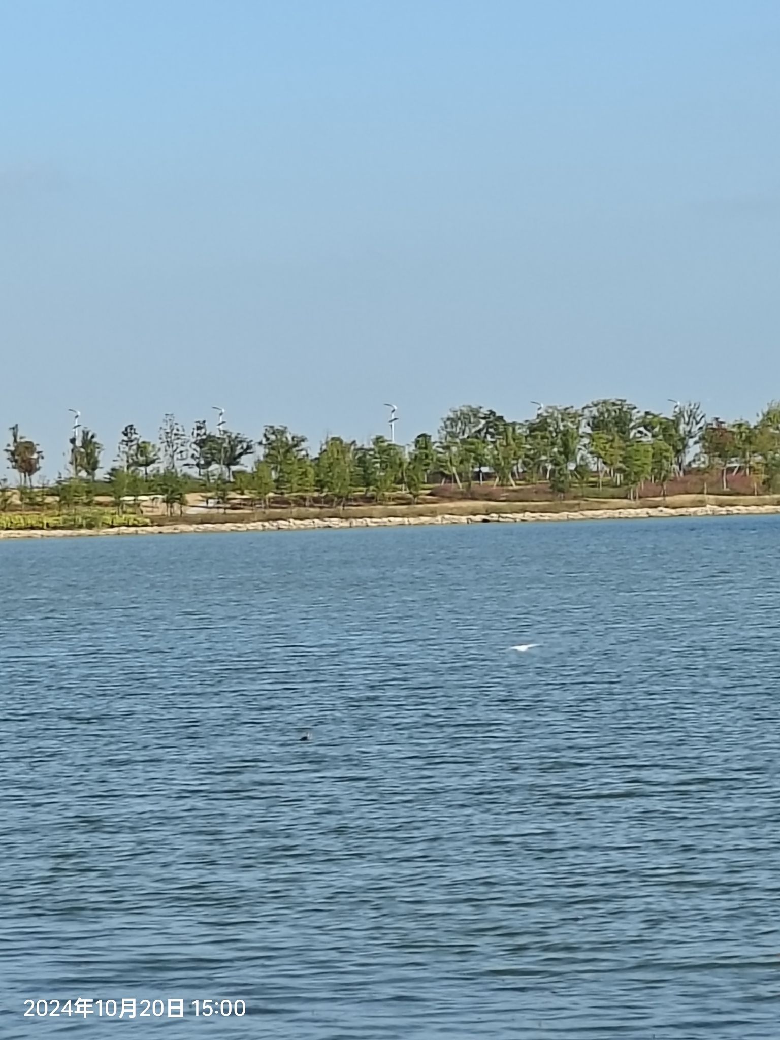 固城水岸滨湖公园旅行图片 2