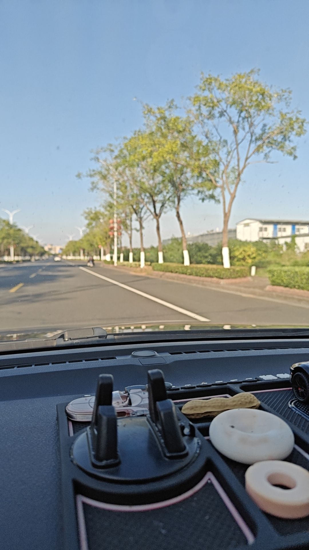 固城水岸滨湖公园旅行图片 1
