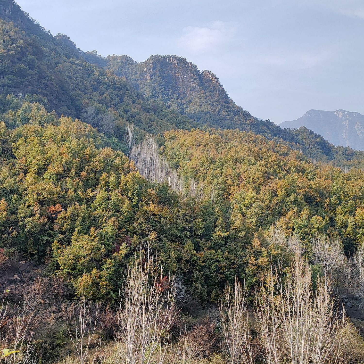 南召猿神山风景区旅行图片 2