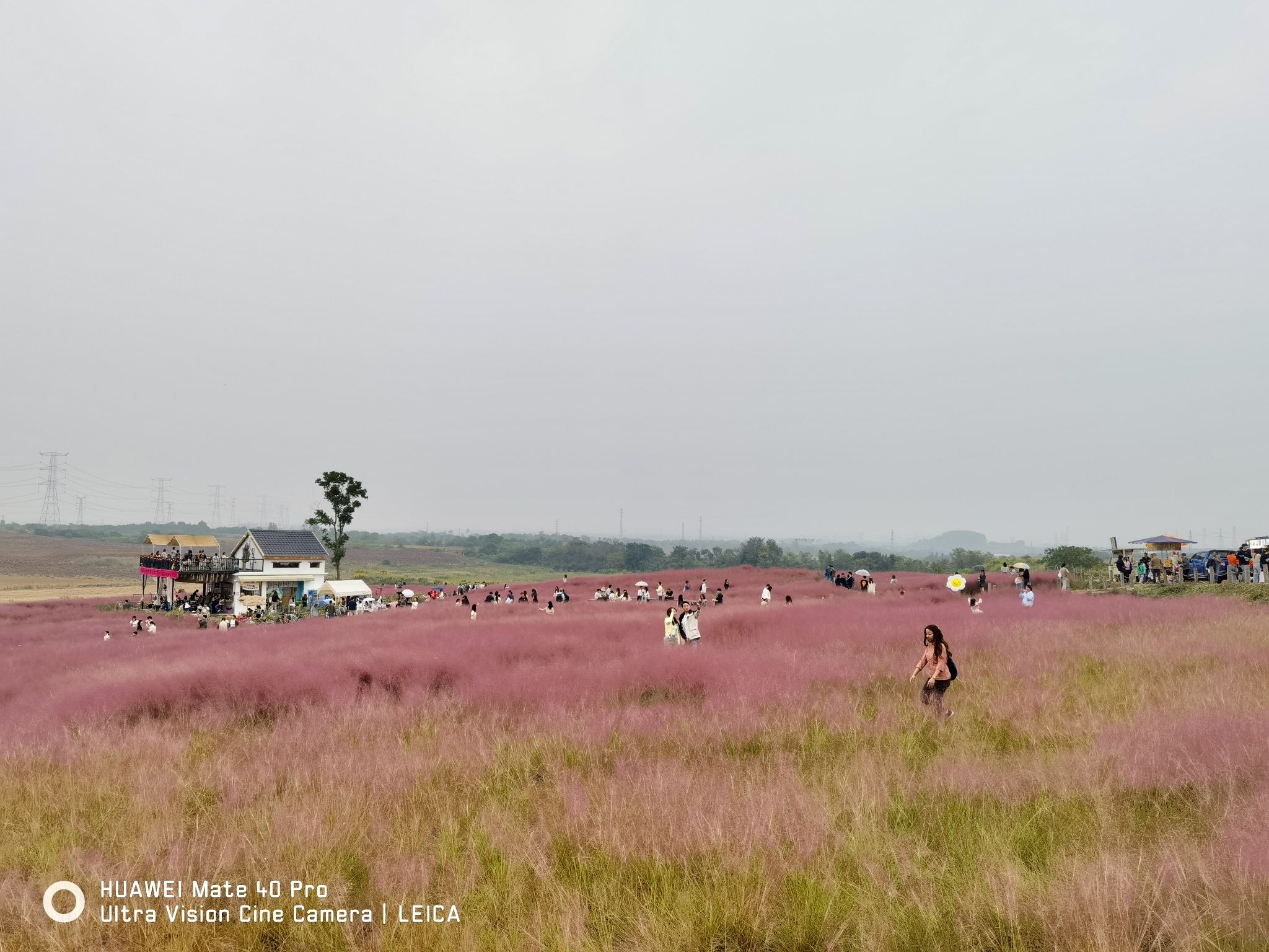 小岭南粉黛花园旅行图片 2