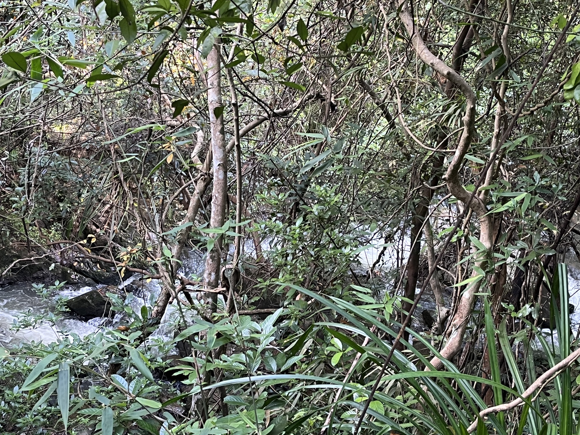 飞流瀑旅行图片 2