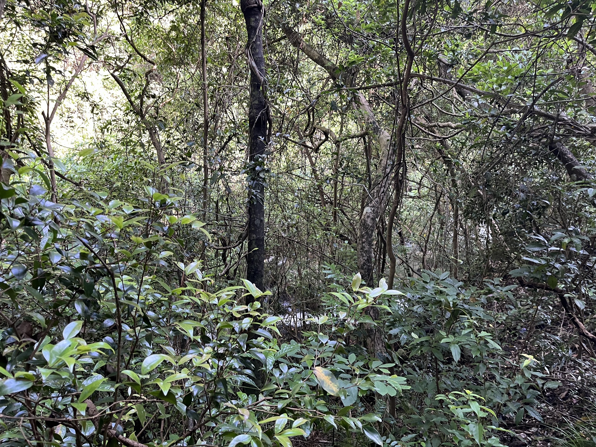 飞流瀑旅行图片 3