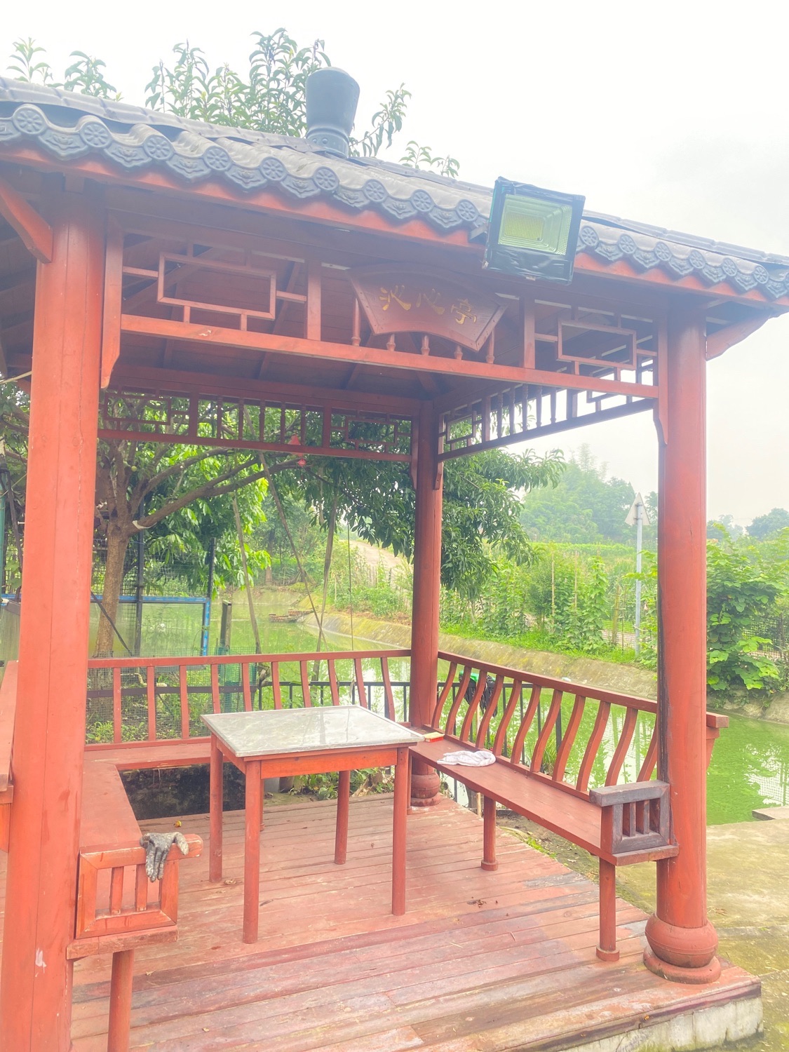 沁心亭旅行图片 1