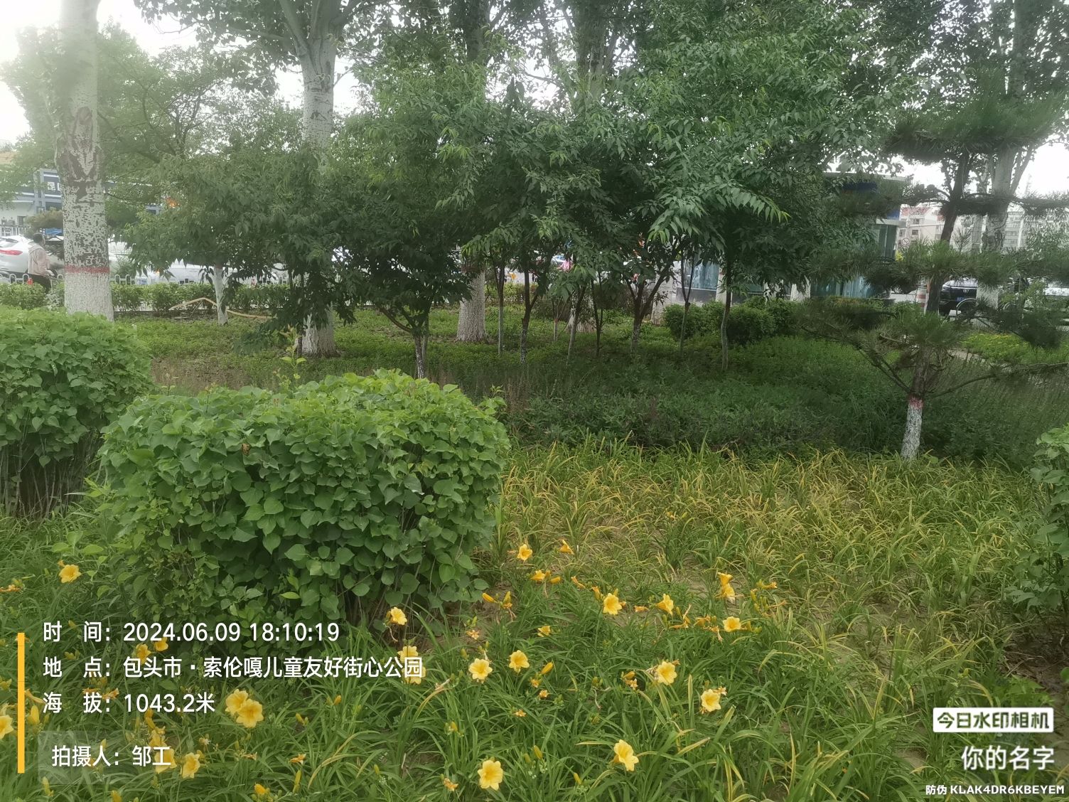 索伦嘎儿童友好街心公园旅行图片 2
