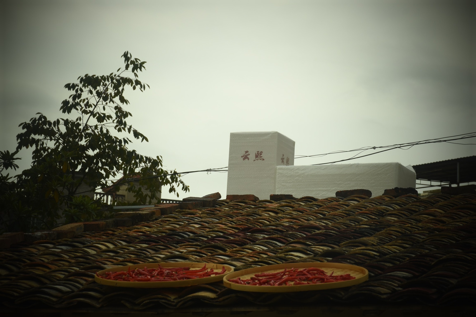 蛤蟆山古村旅行图片 1
