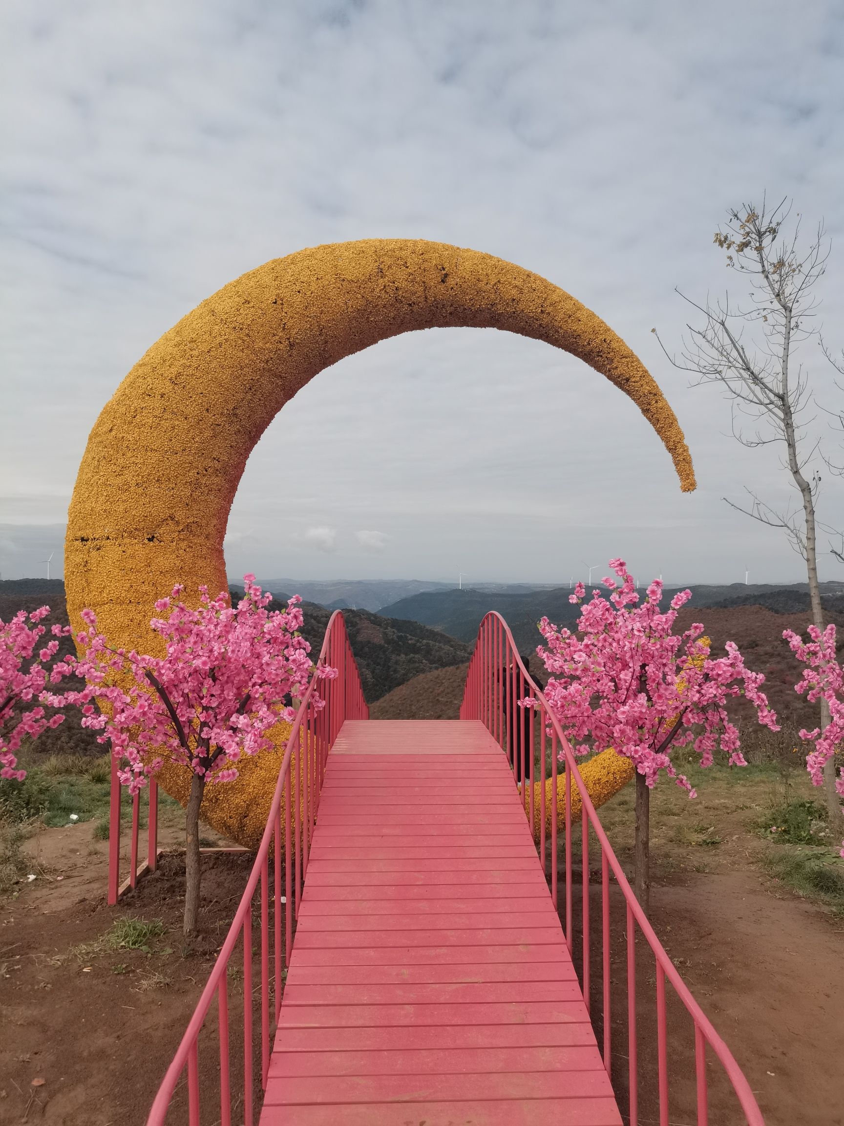 太行红叶观景台旅行图片 1