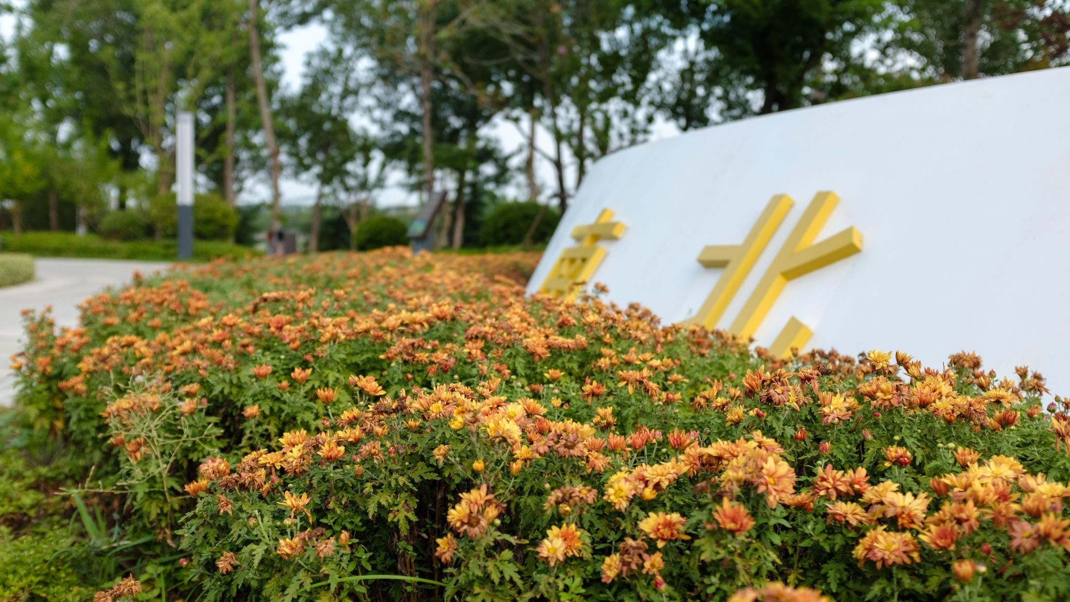 东城公园旅行图片 3
