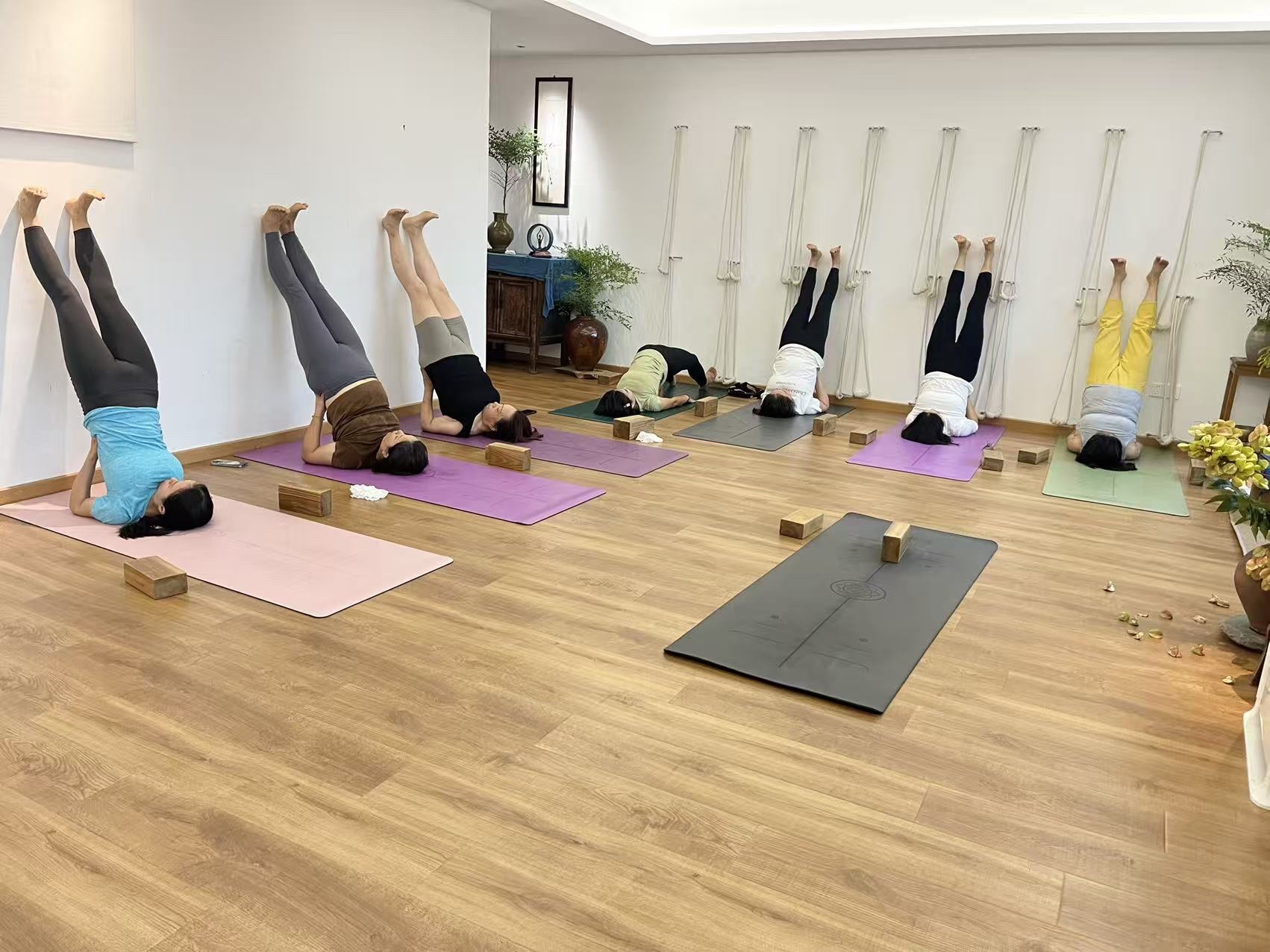 场地封面-斐秀溪缘(瑜伽)