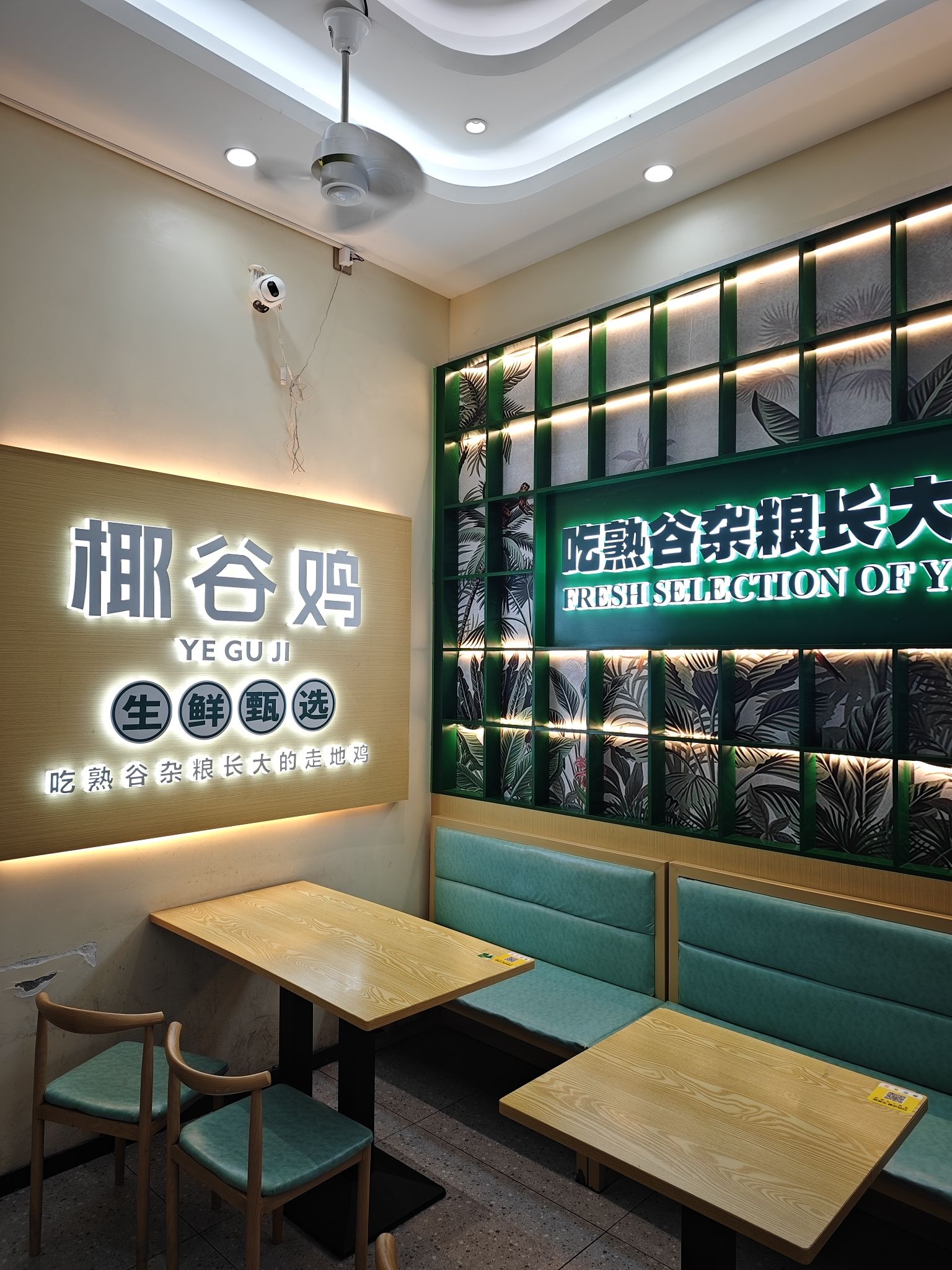 椰谷鸡(坡博社区体验店)