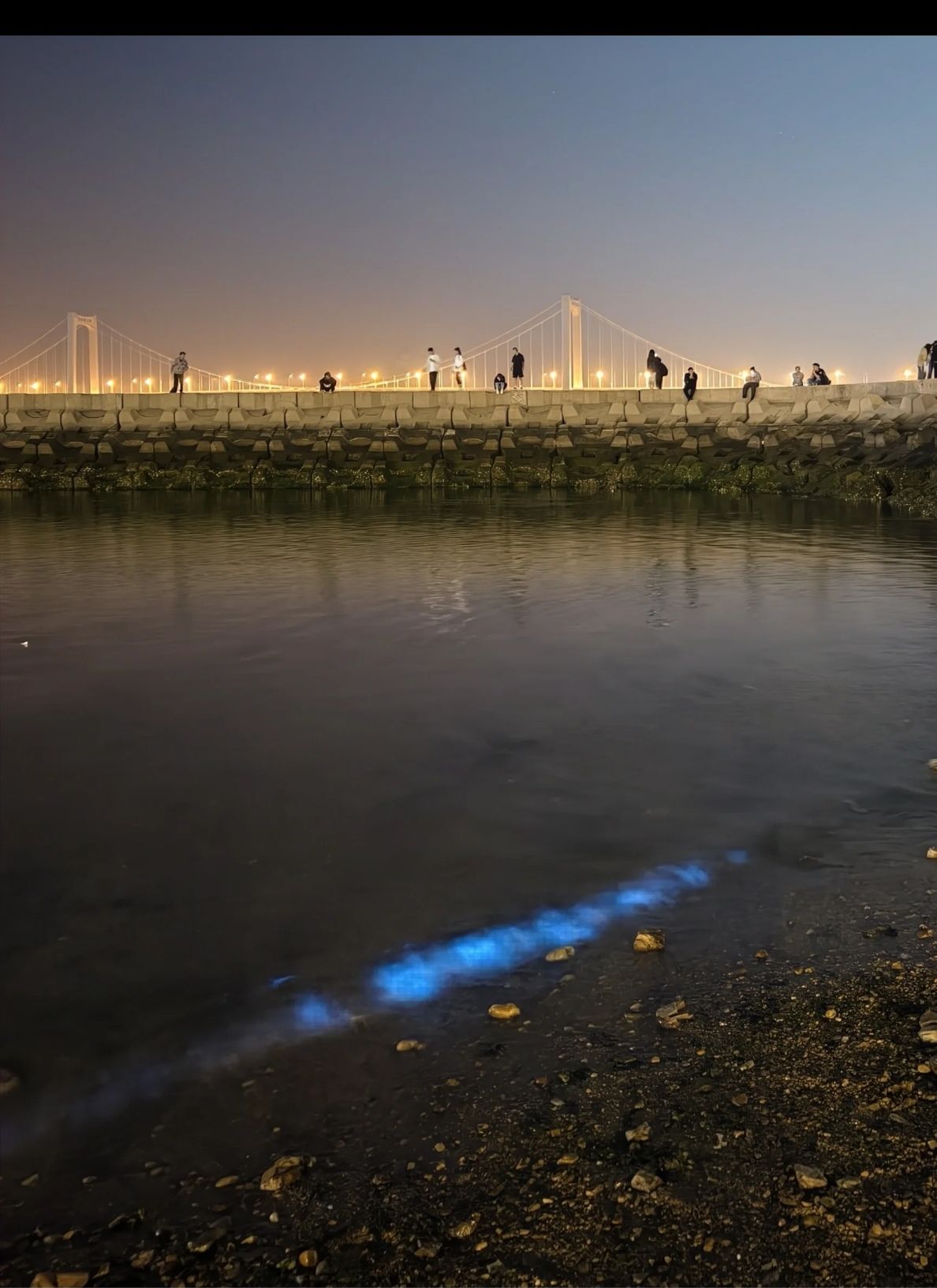 星海荧光海最佳打卡点旅行图片 1