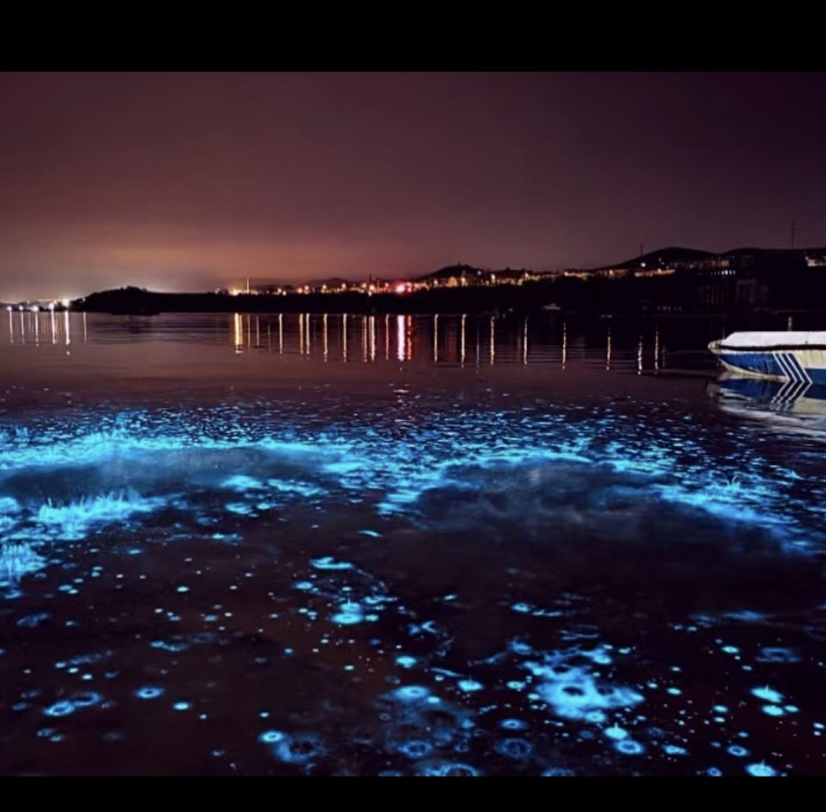 星海荧光海最佳打卡点旅行图片 3