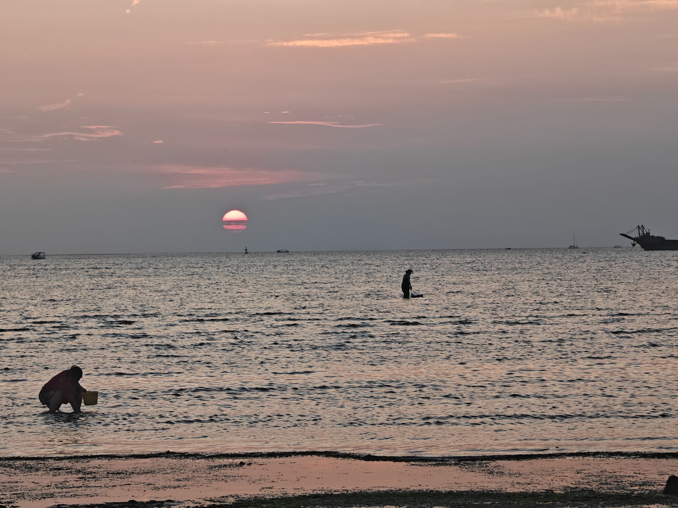 小石岛湿地公园旅行图片 1