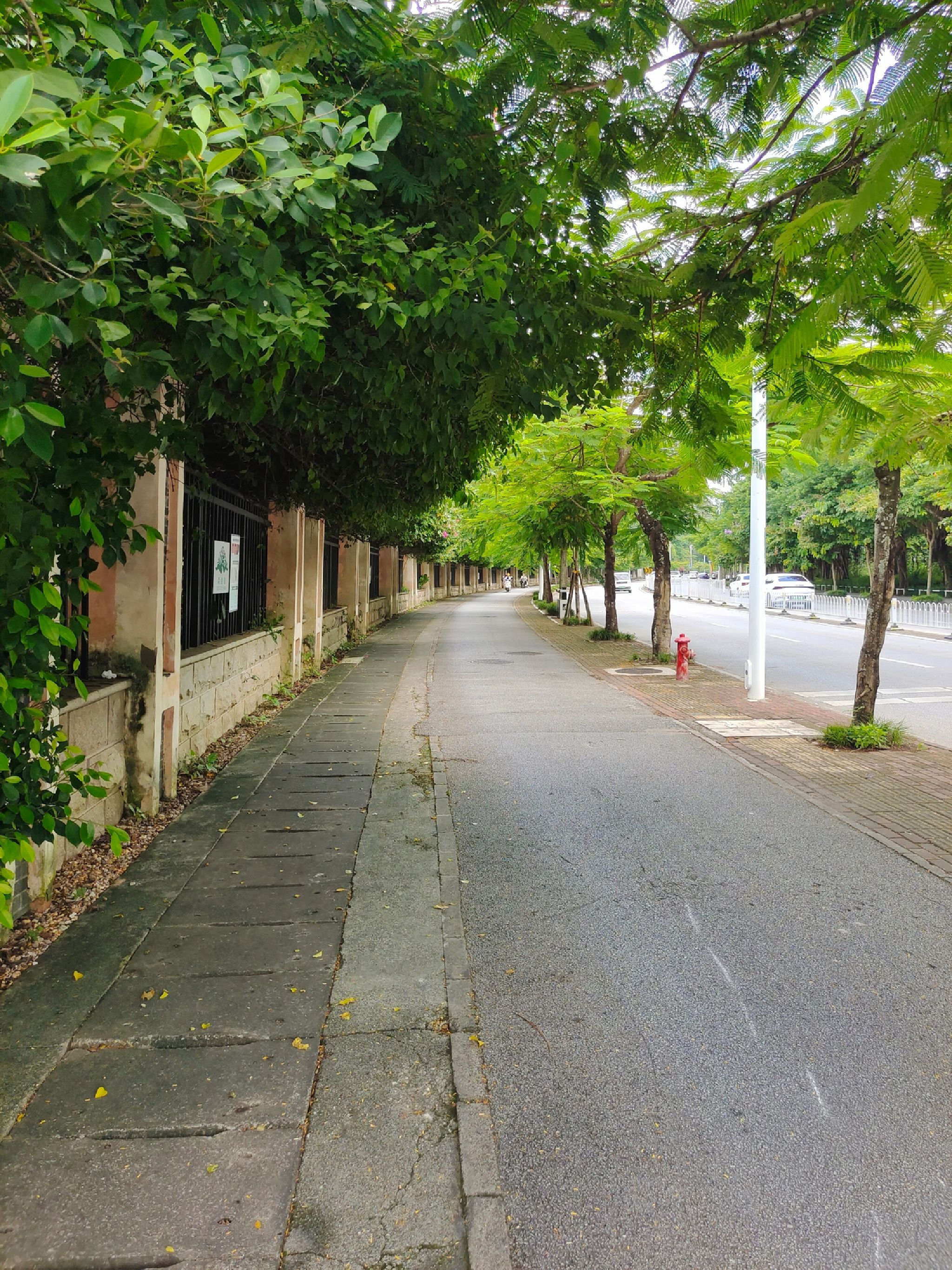 南宁市江滨休闲公园旅行图片 1