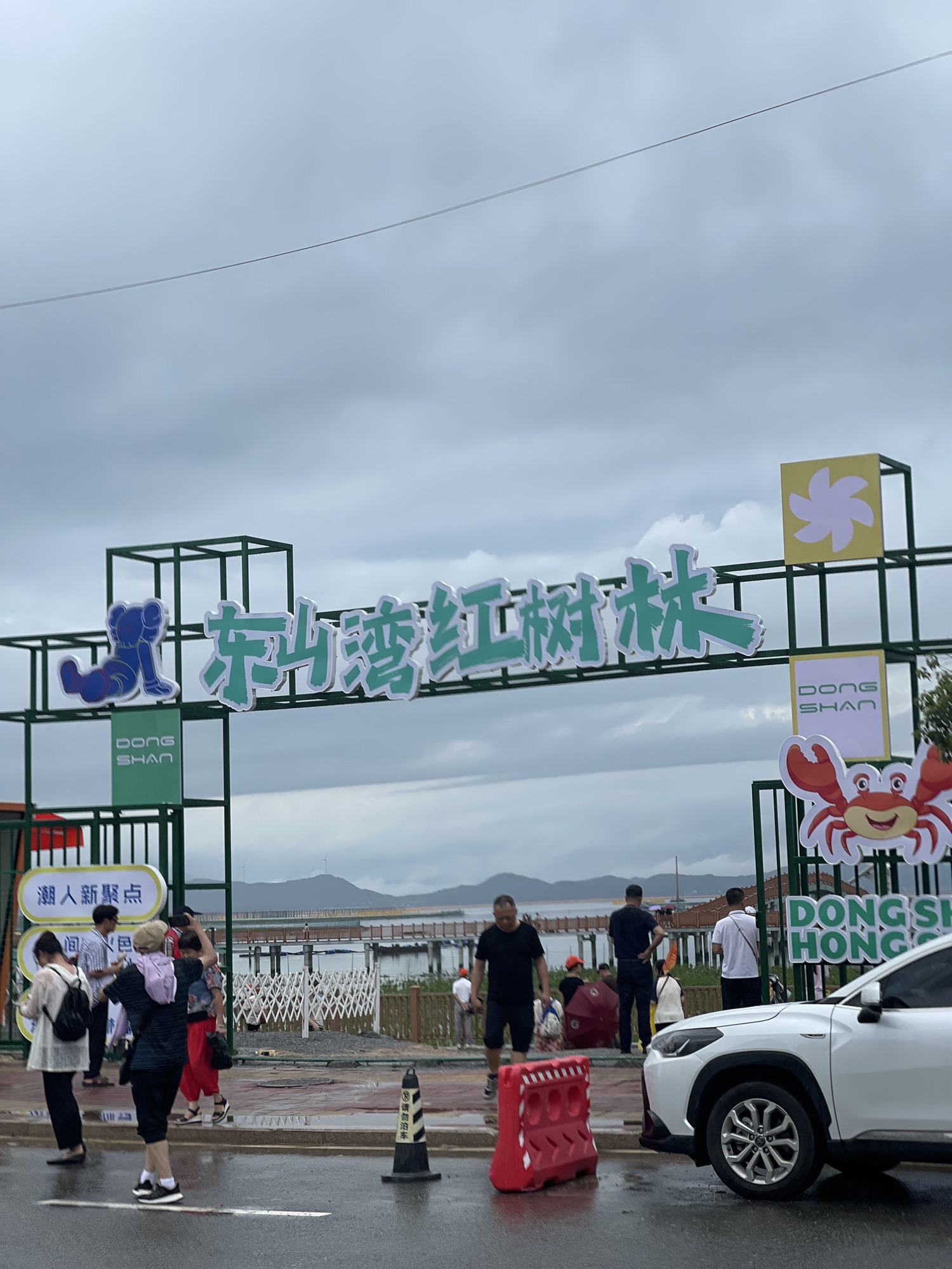 东山湾红树林旅行图片 2