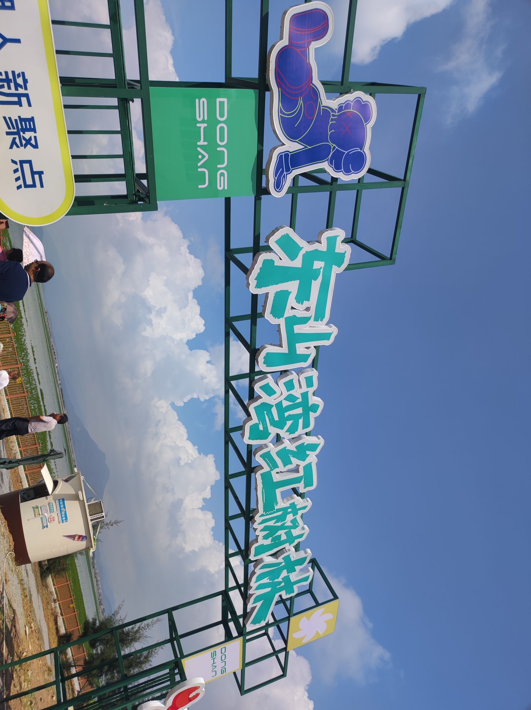 东山湾红树林旅行图片 3