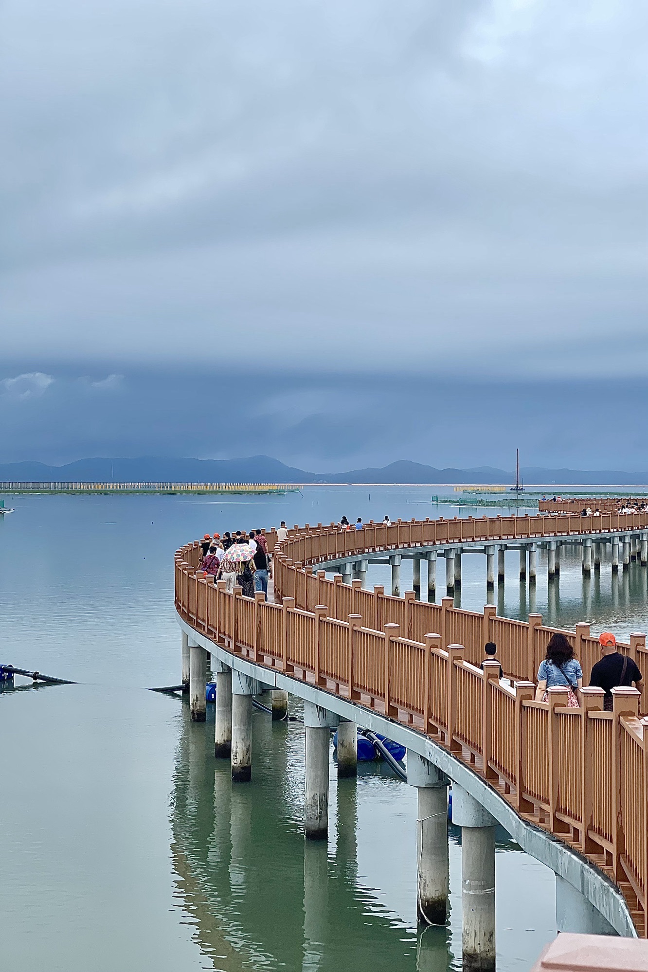 东山湾红树林旅行图片 3
