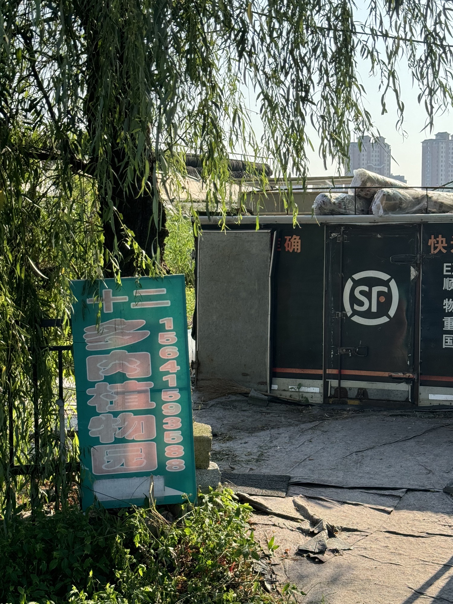十二多肉植物园旅行图片 2