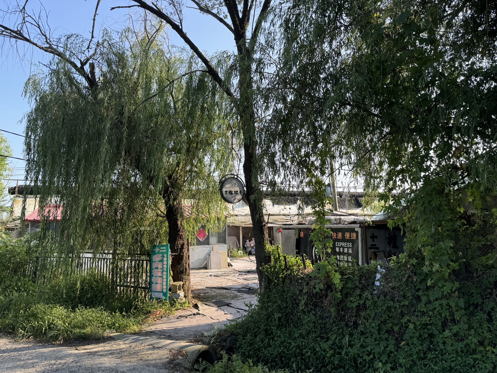 十二多肉植物园旅行图片 1