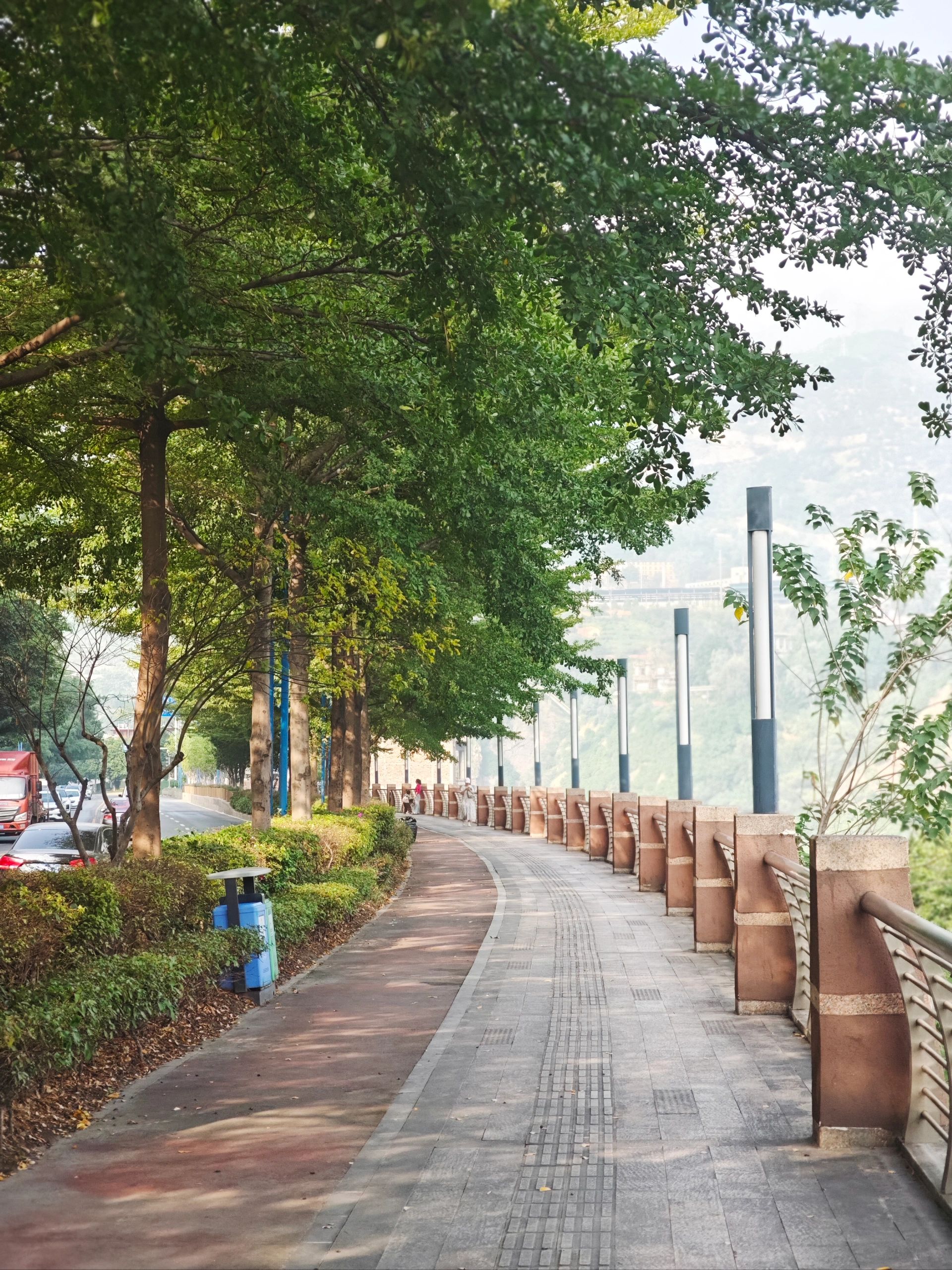 银江湖公园旅行图片 3