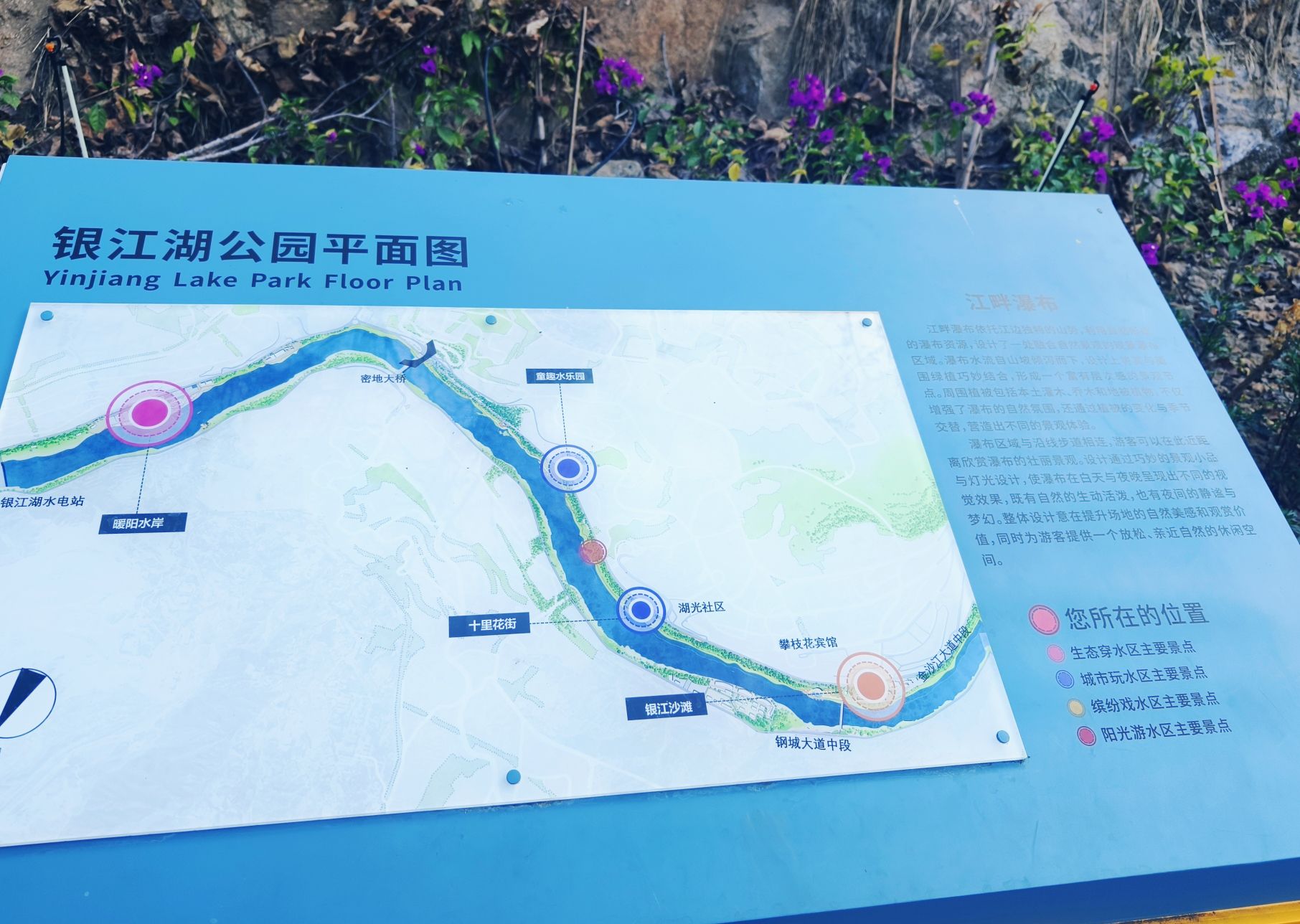 银江湖公园旅行图片 1