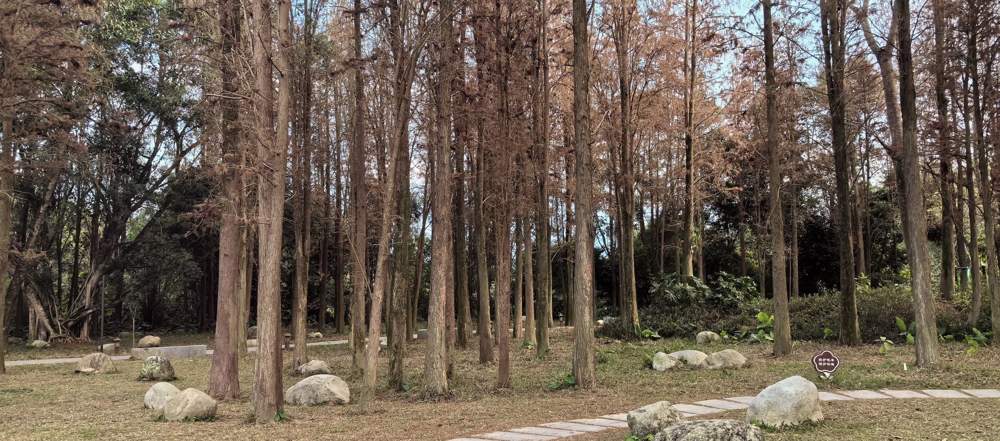 凤凰湿地公园碧道旅行图片 3