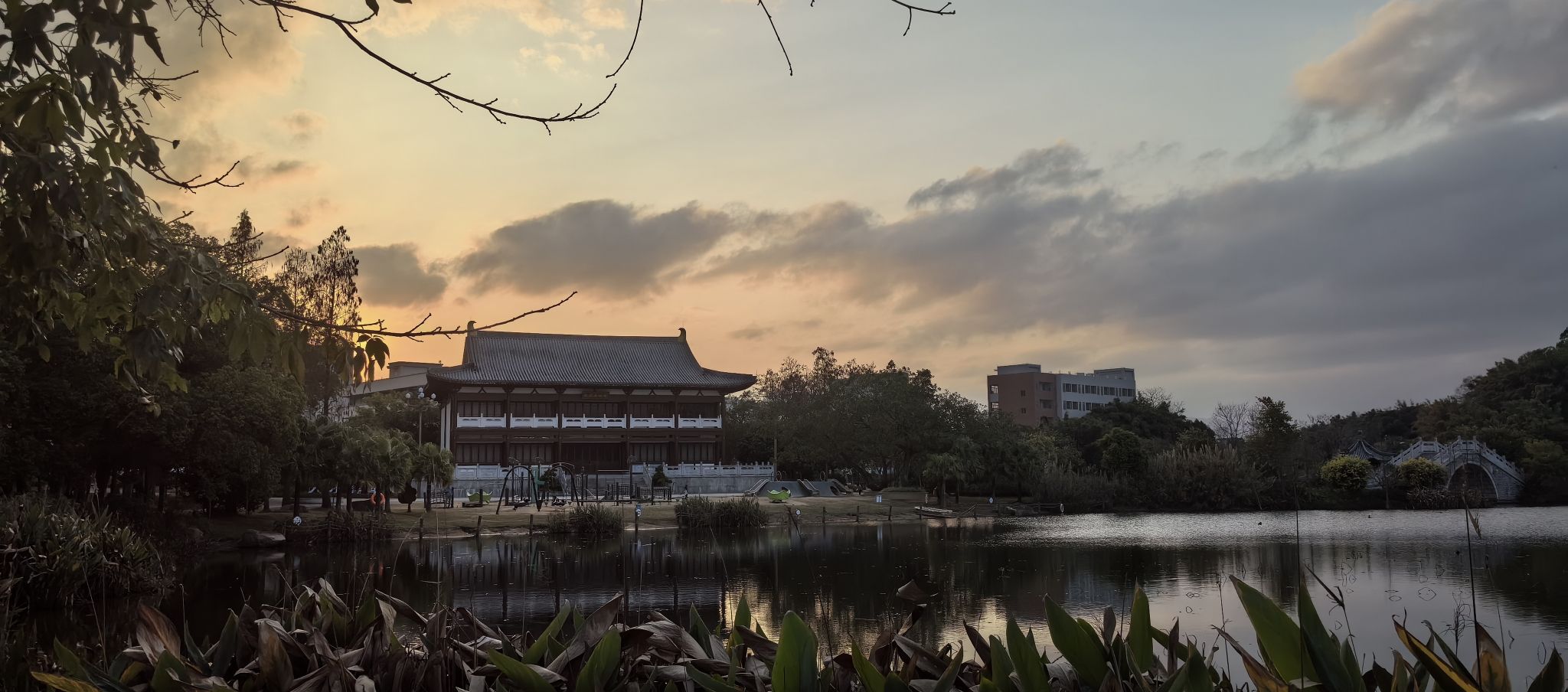 凤凰湿地公园碧道旅行图片 2